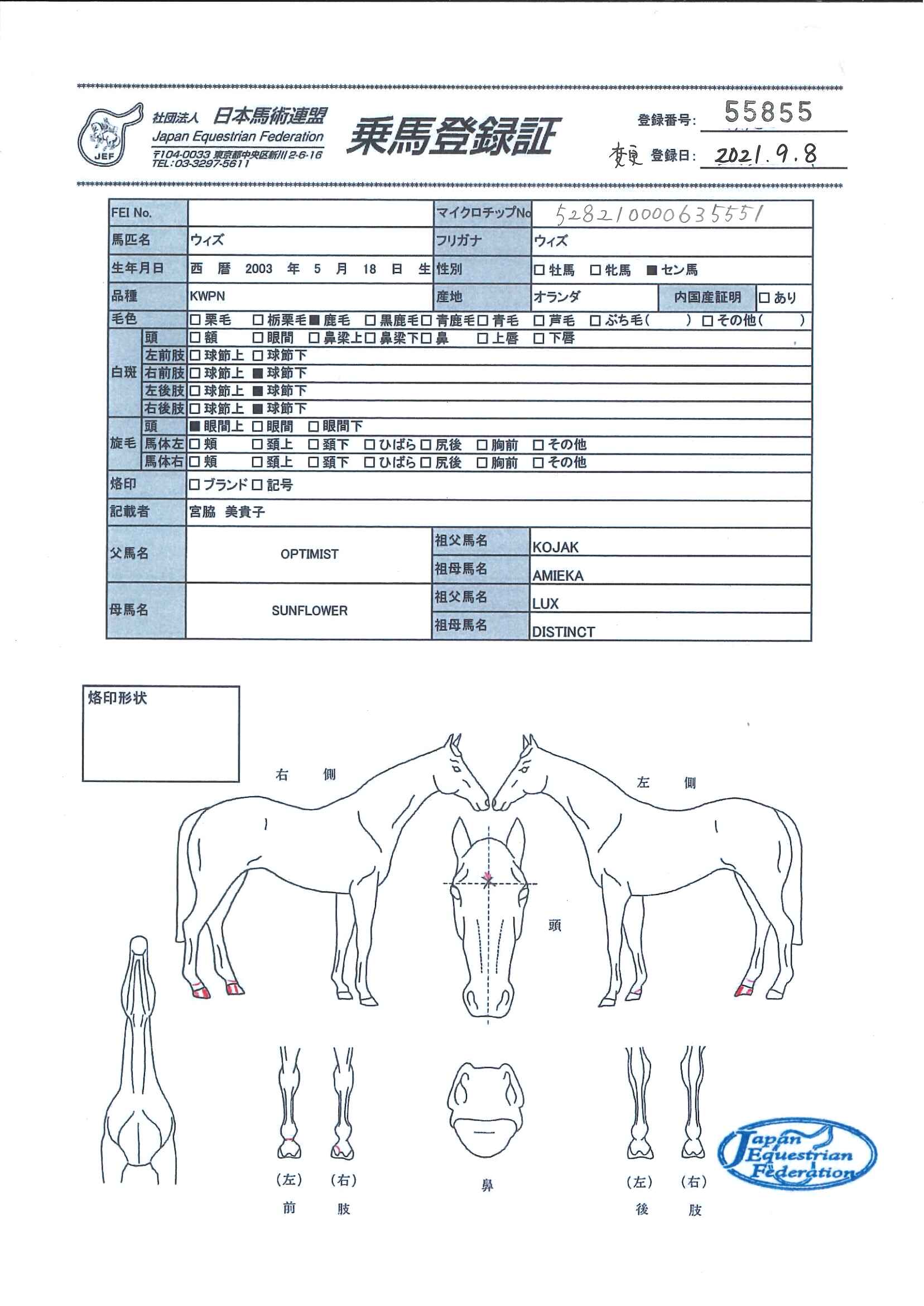 乗馬登録証
