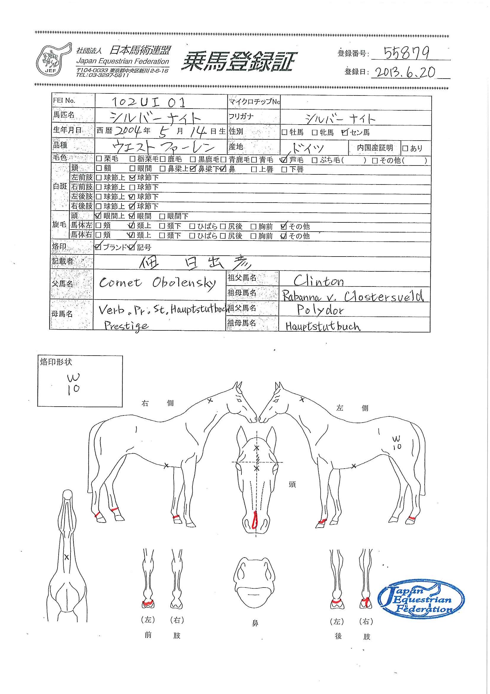 最終値下！ショッケミューレ タイタニオ鐙 乗馬 あぶみ