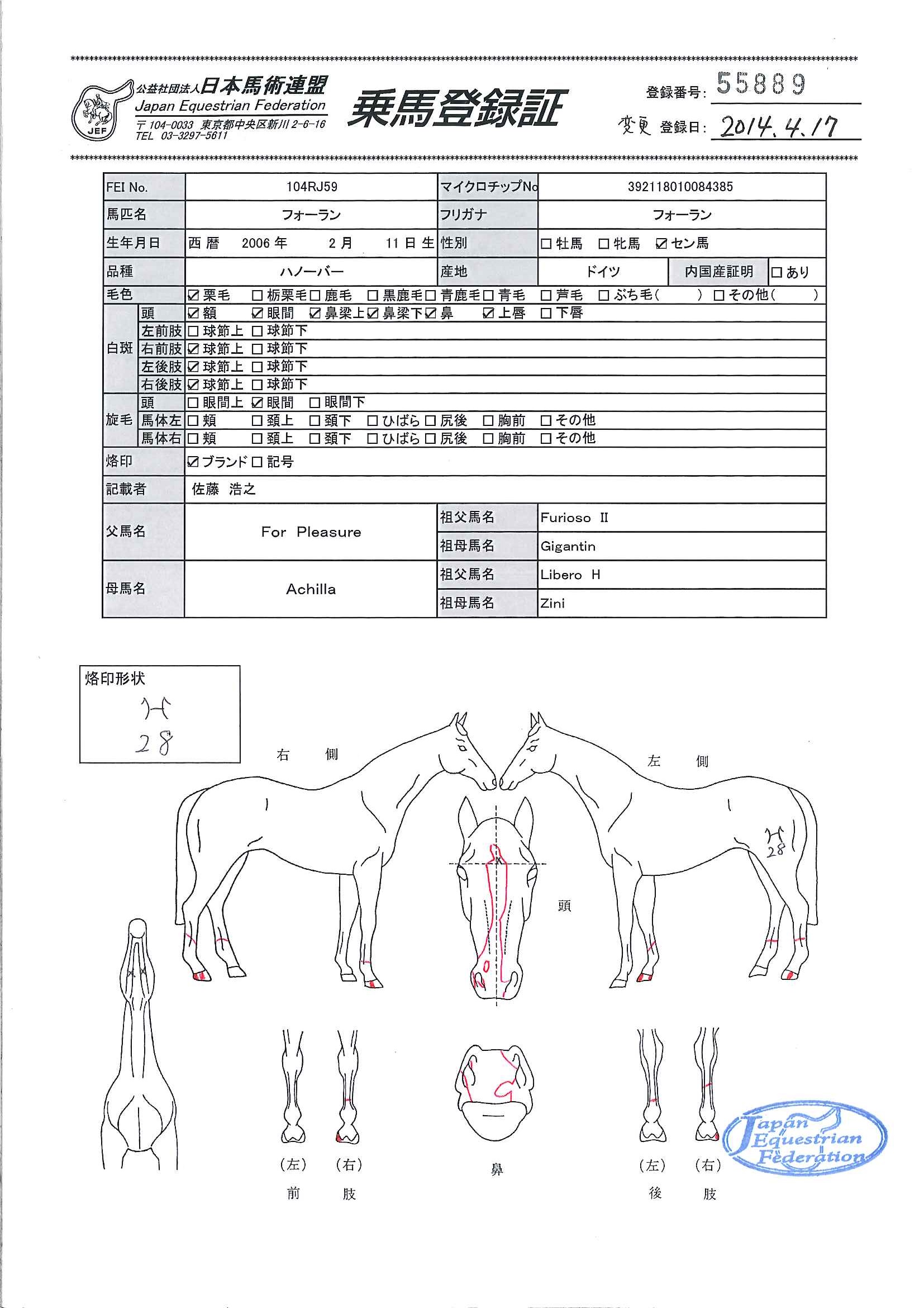 乗馬登録証
