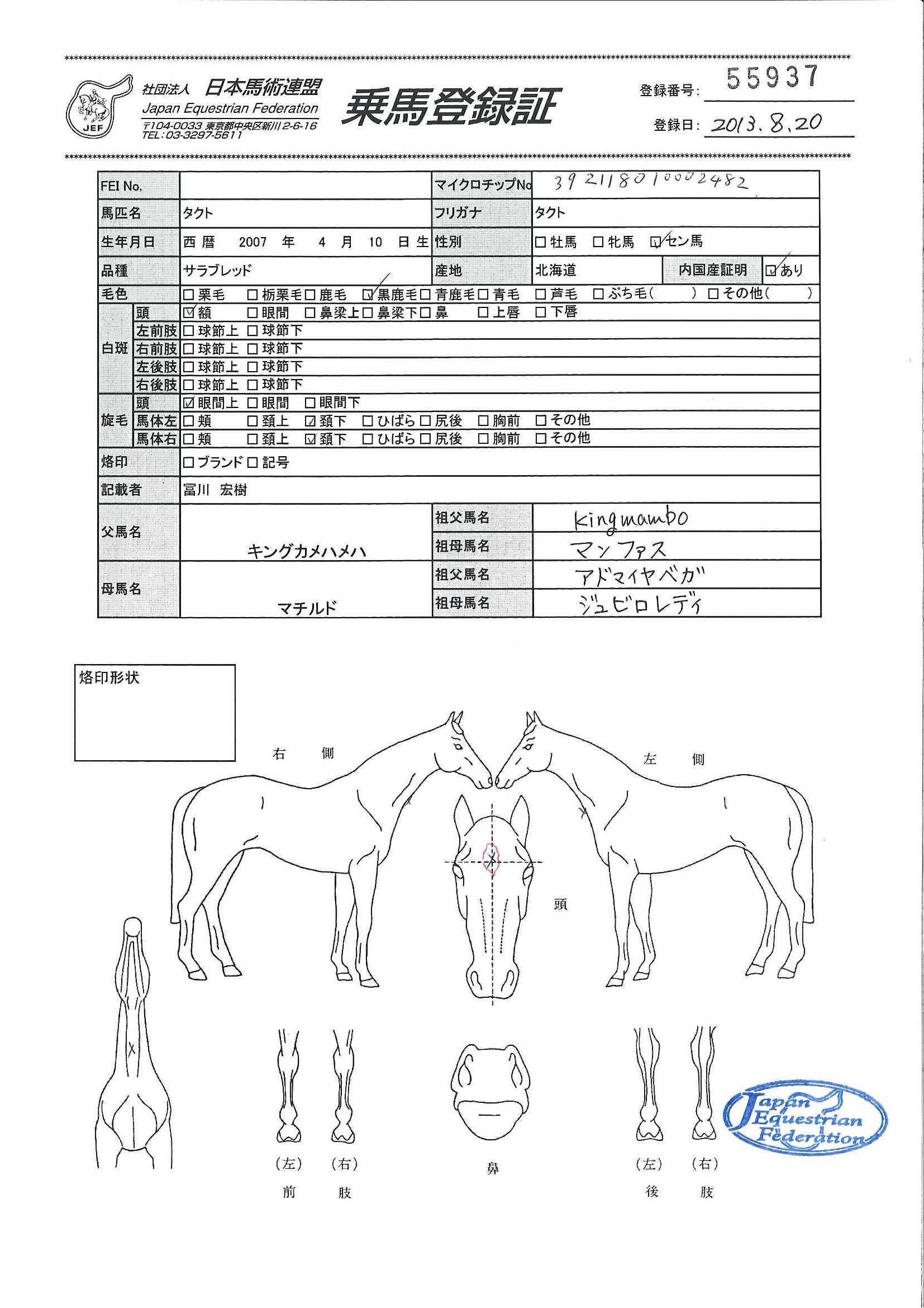 公益社団法人 日本馬術連盟 《Japan Equestrian Federation