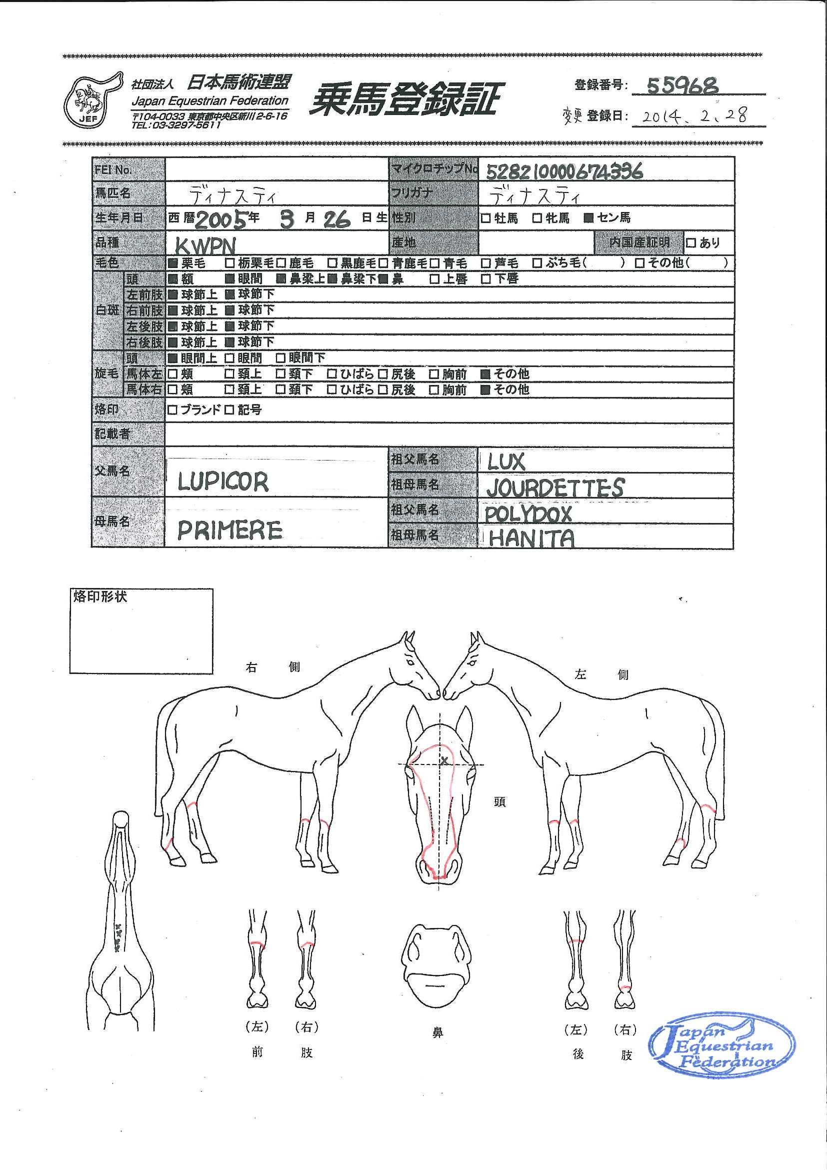 乗馬登録証