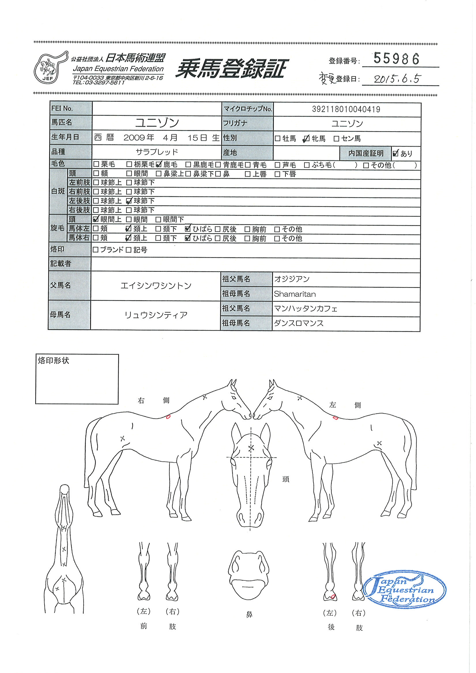 乗馬登録証