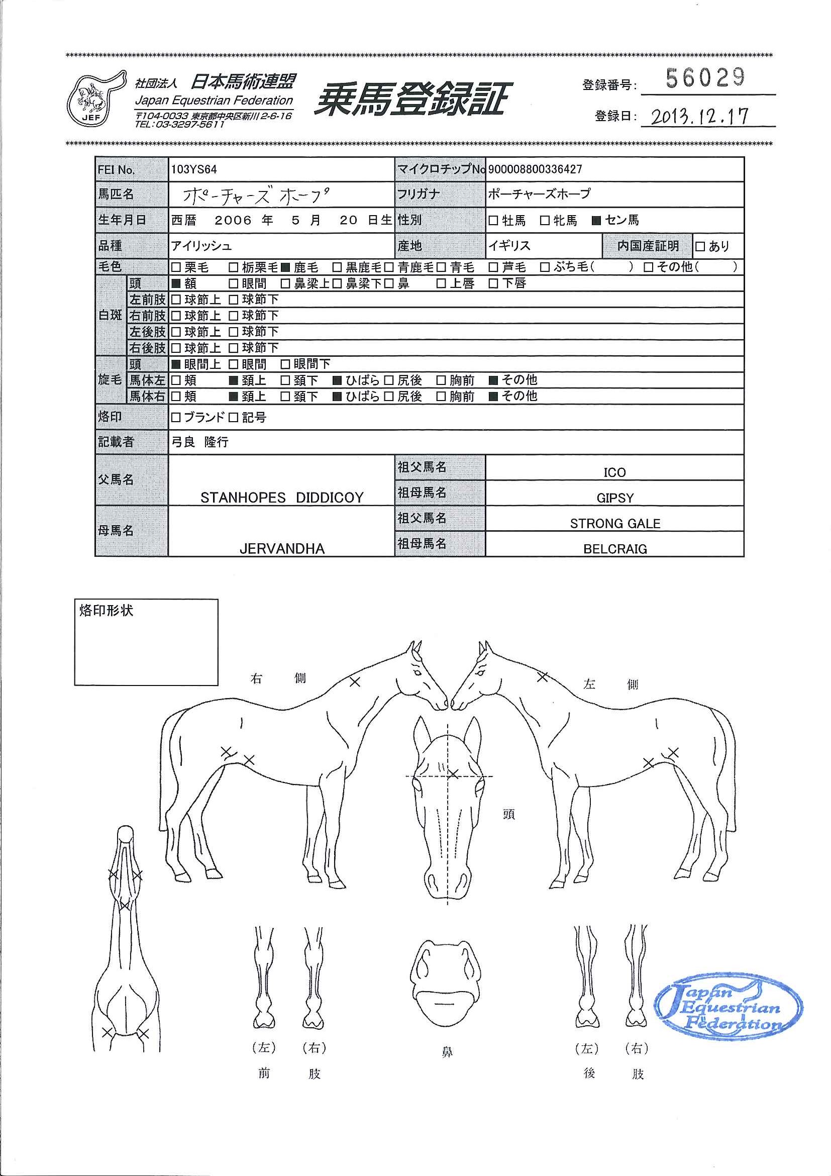 乗馬登録証