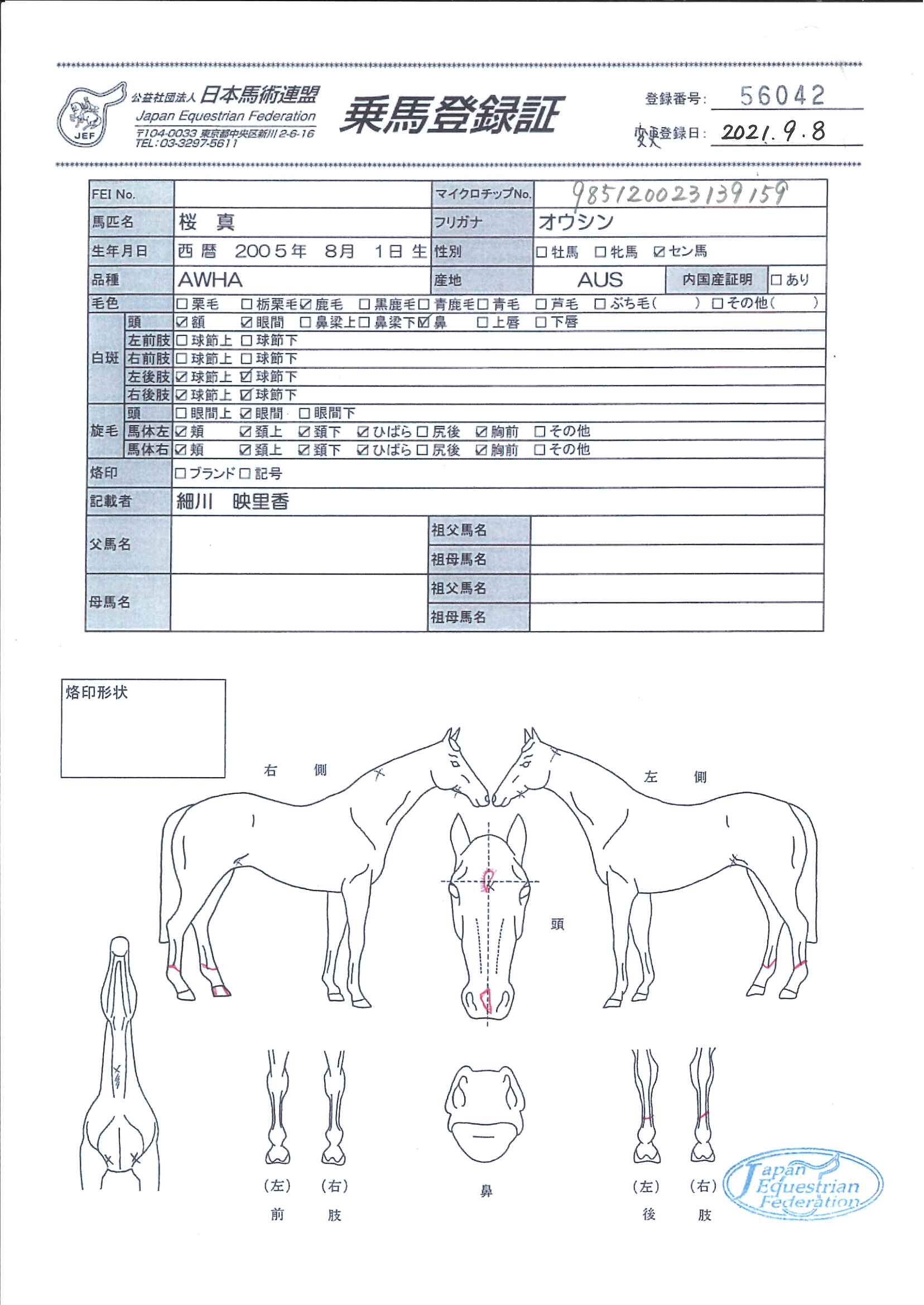 公益社団法人 日本馬術連盟 《Japan Equestrian Federation
