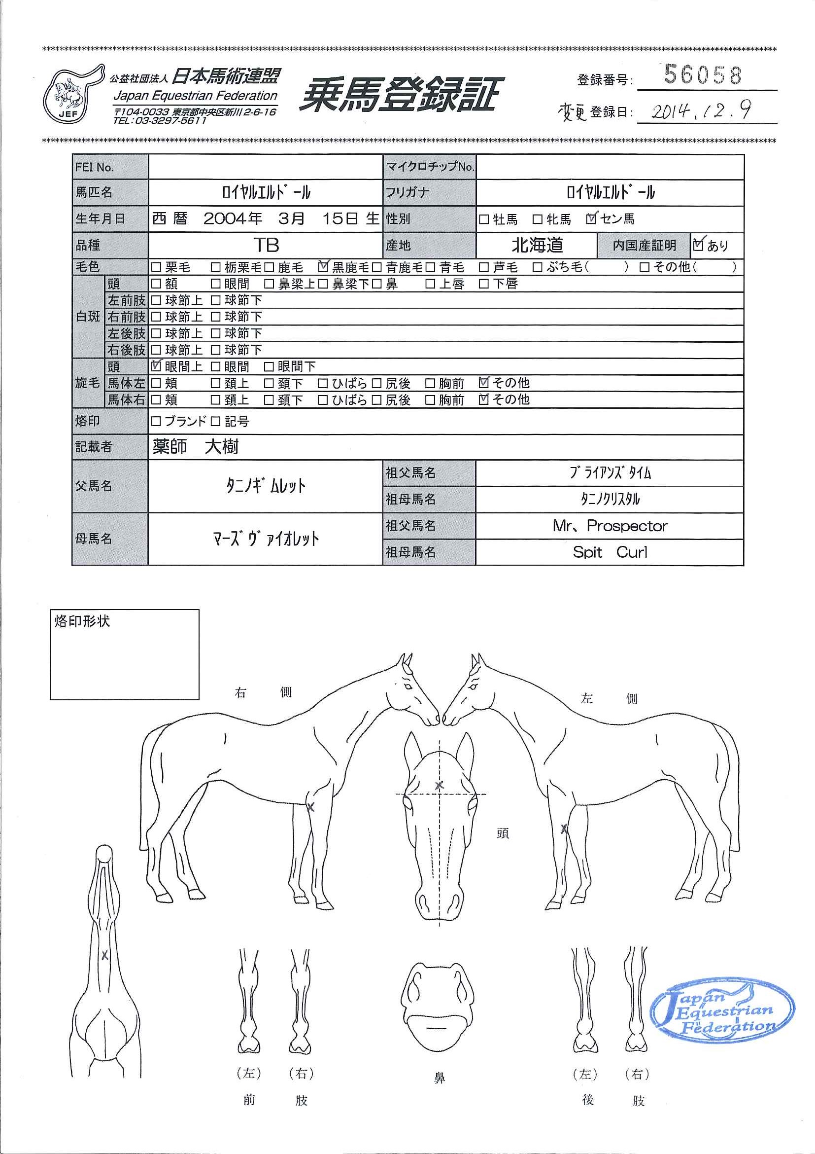 乗馬登録証