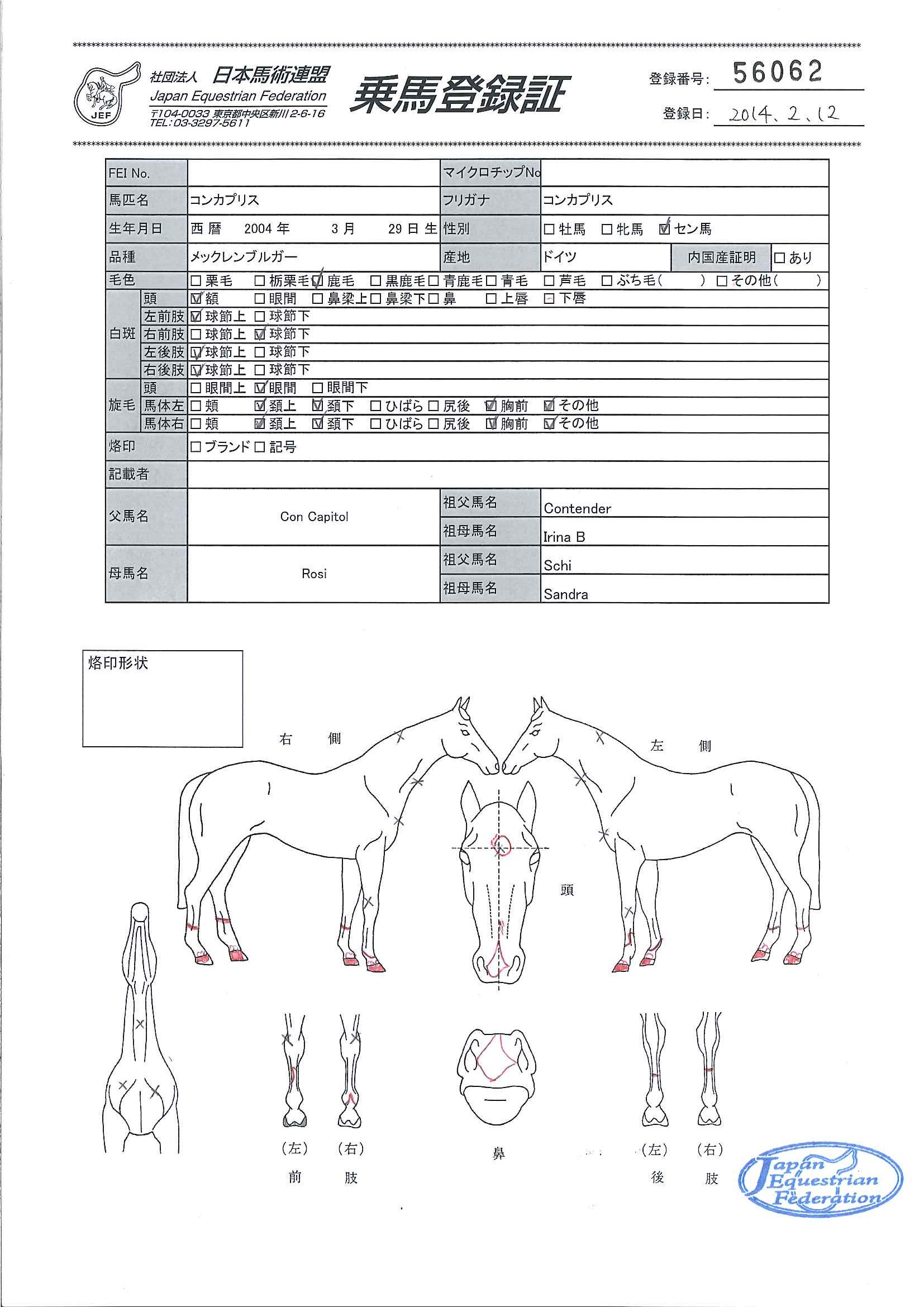 乗馬登録証