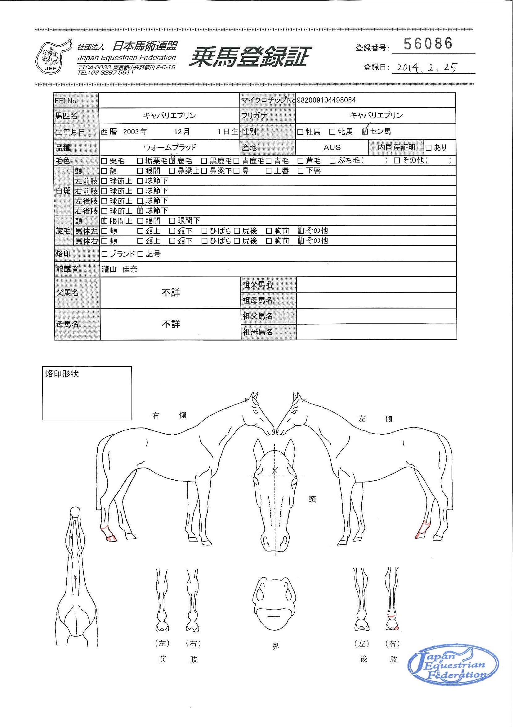 乗馬登録証