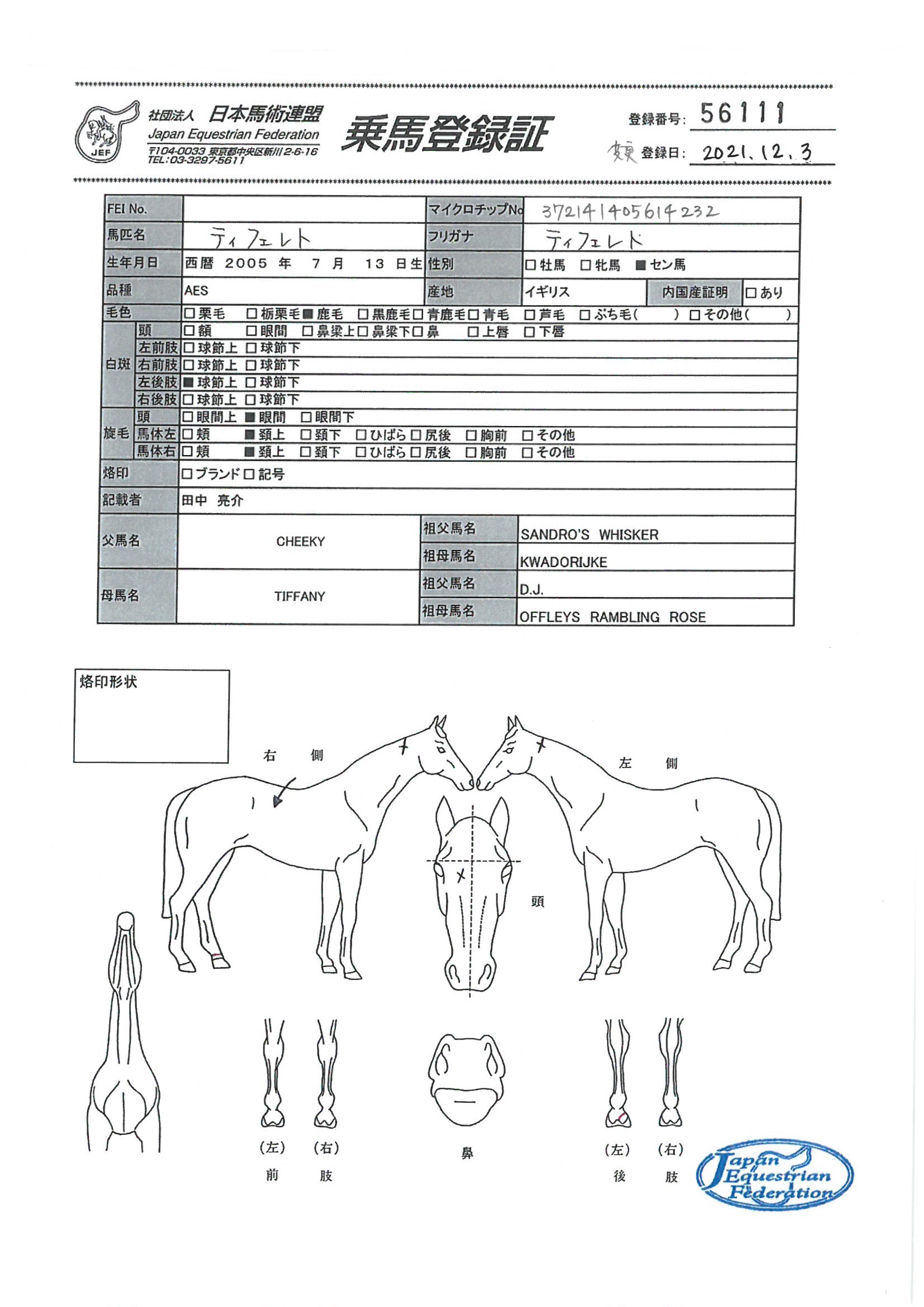 乗馬登録証