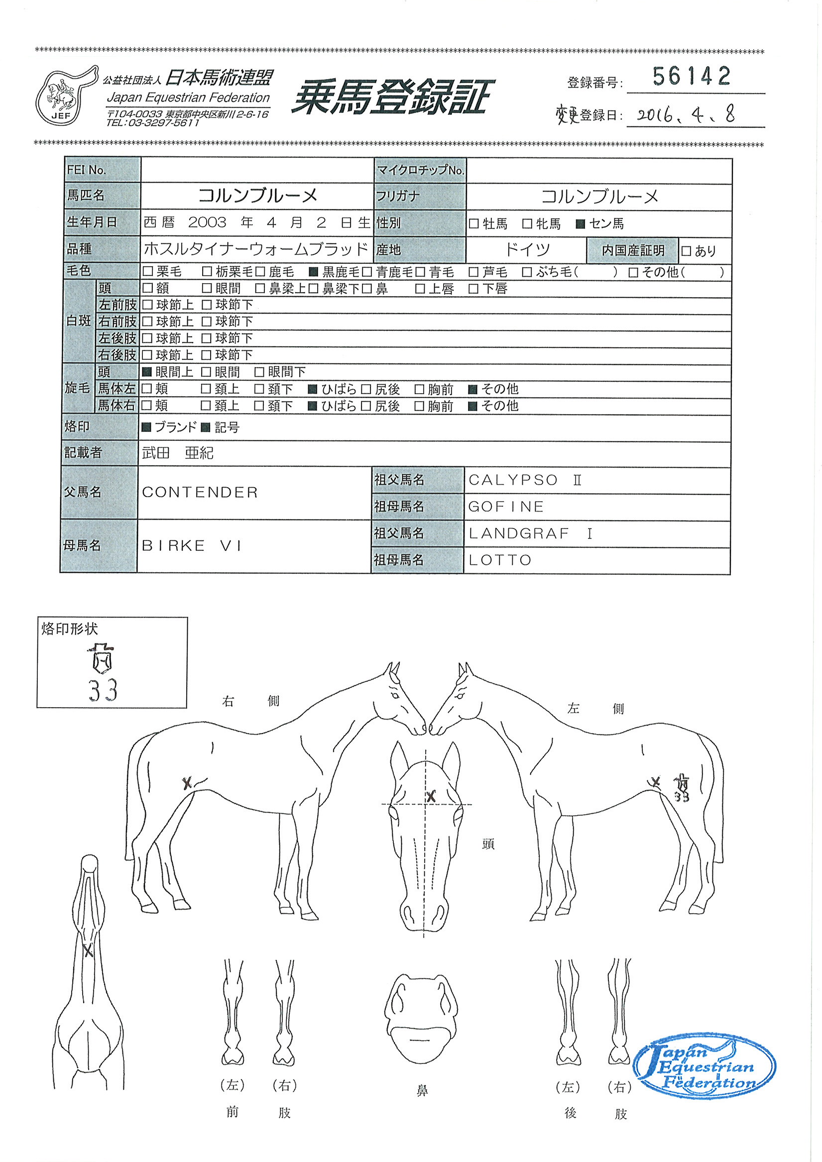 【中古】 馬連を獲りまくる完全（パーフェクト）軸馬選抜法 等距離実績からの上級馬券術/ブックマン社/アカバネクラブ 中古】 馬連を獲りまくる完全（パーフェクト）軸馬選抜法 等距離