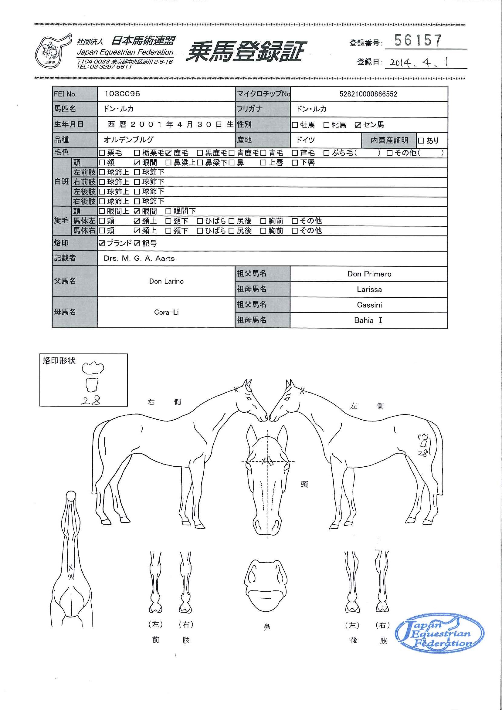 乗馬登録証