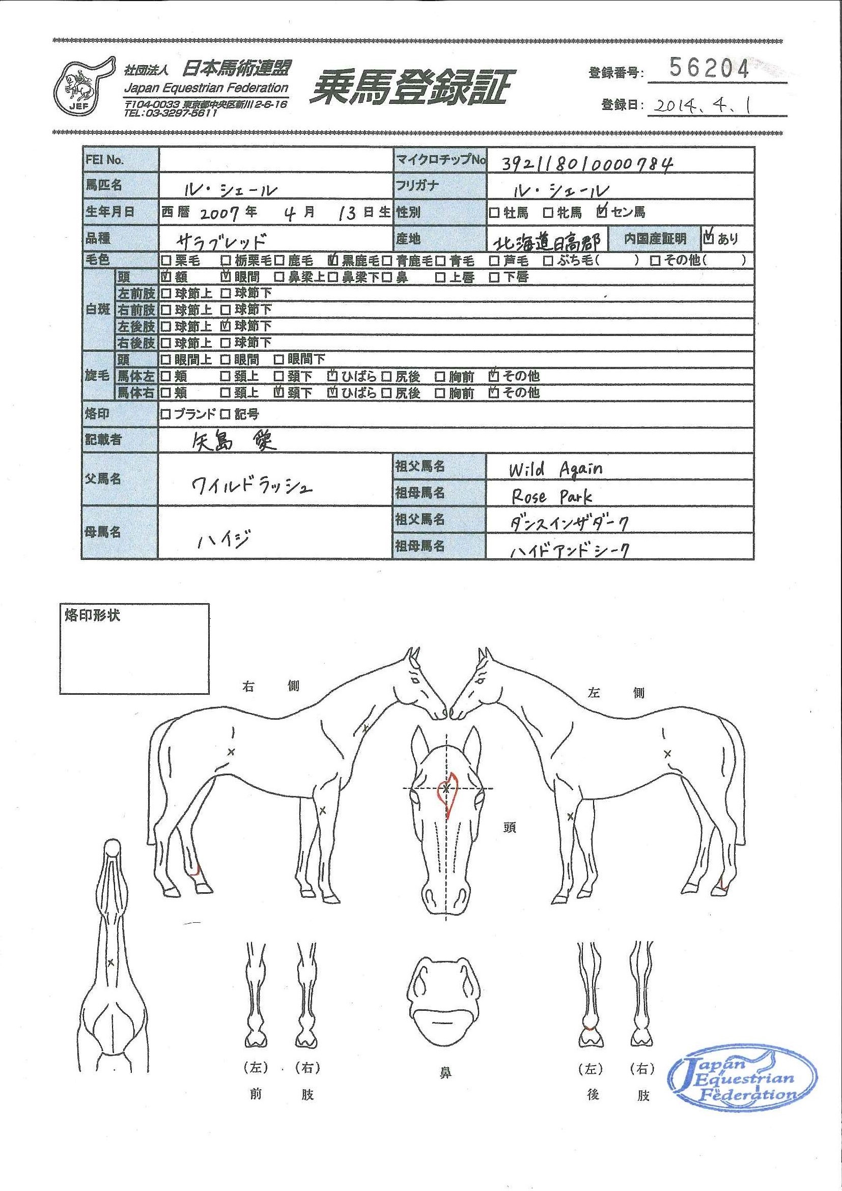 乗馬登録証