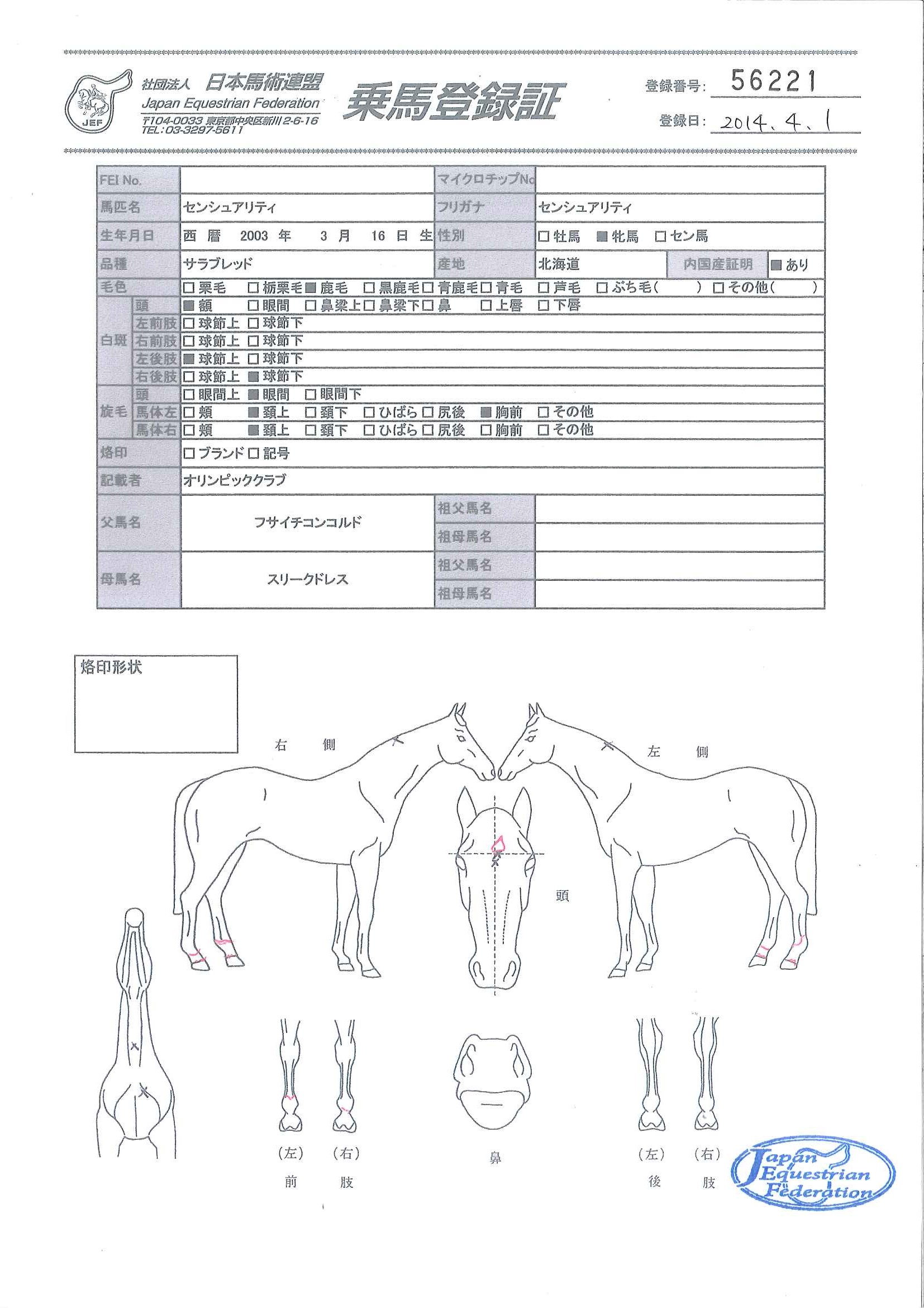 乗馬登録証