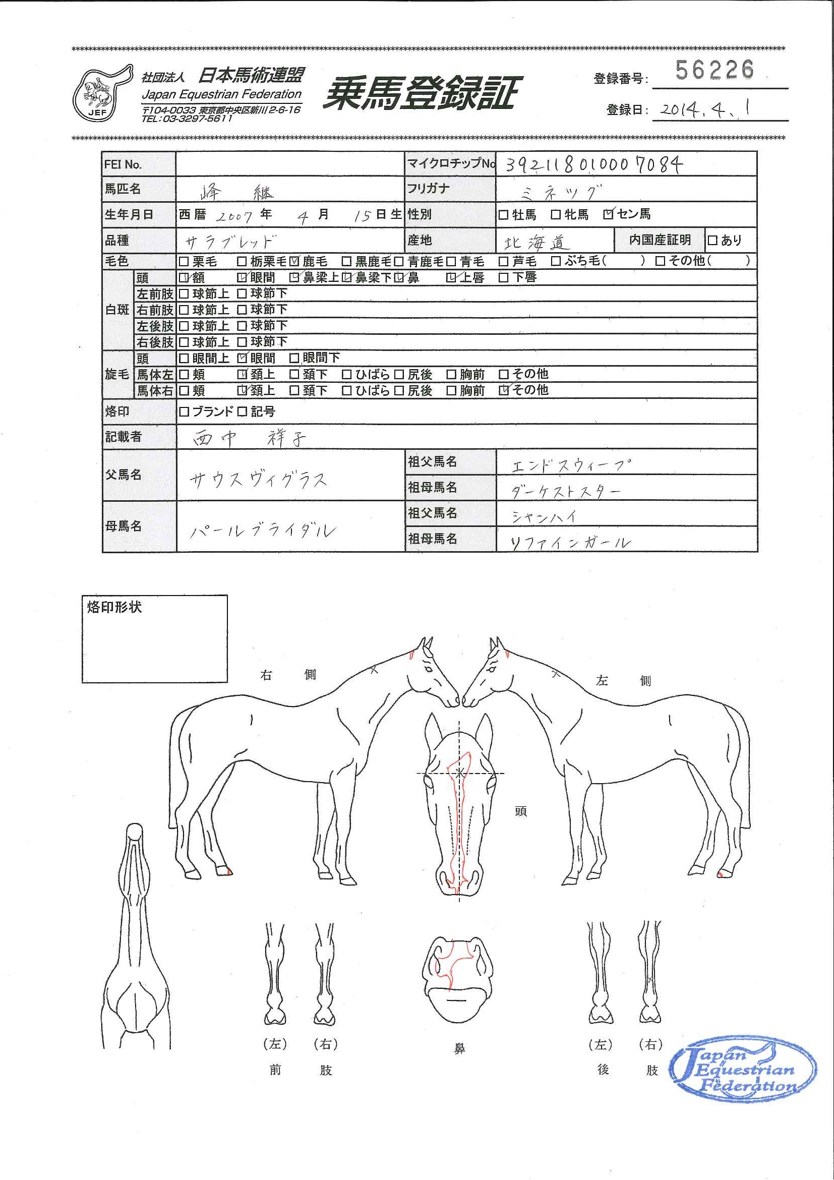 乗馬登録証
