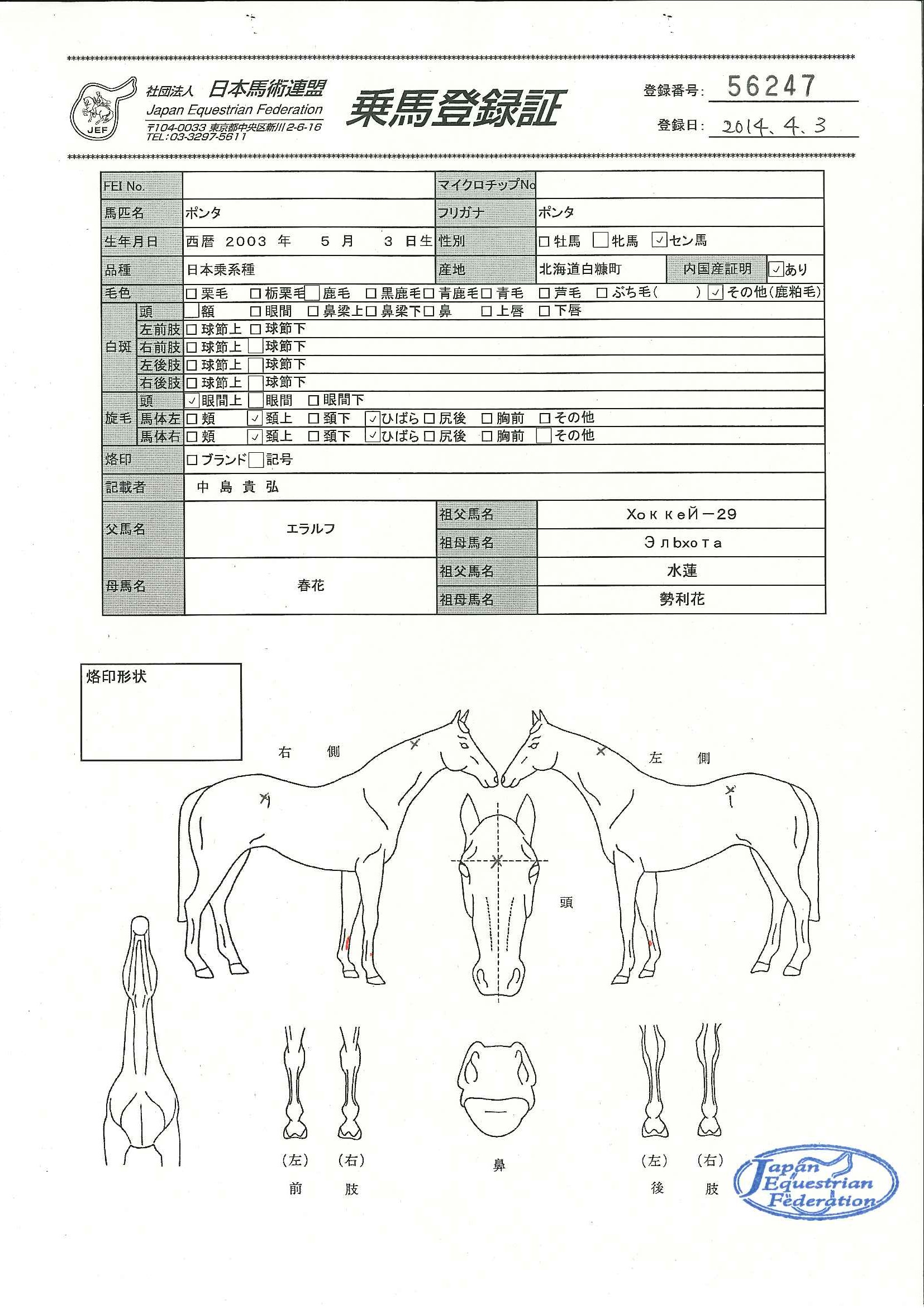 乗馬登録証