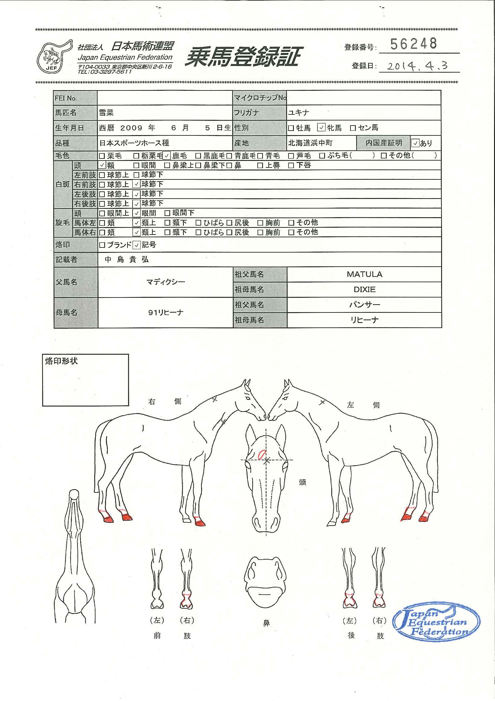 乗馬登録証