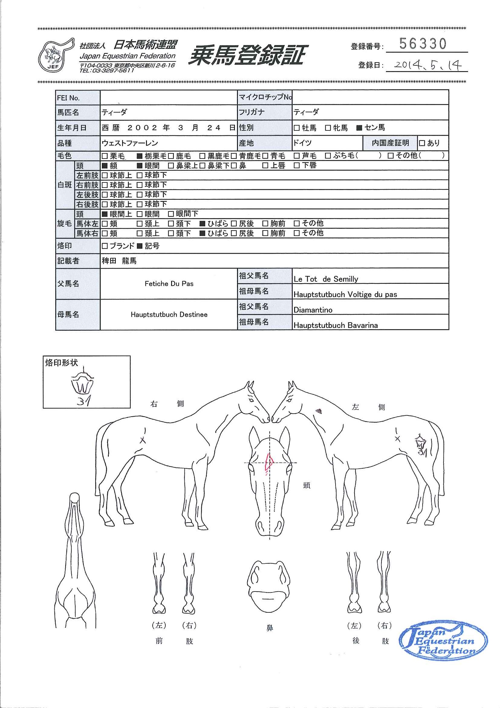 乗馬登録証