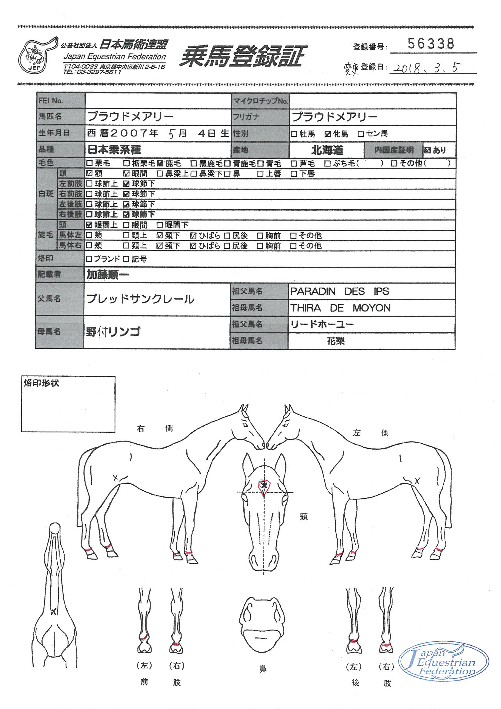 公益社団法人 日本馬術連盟 《Japan Equestrian Federation