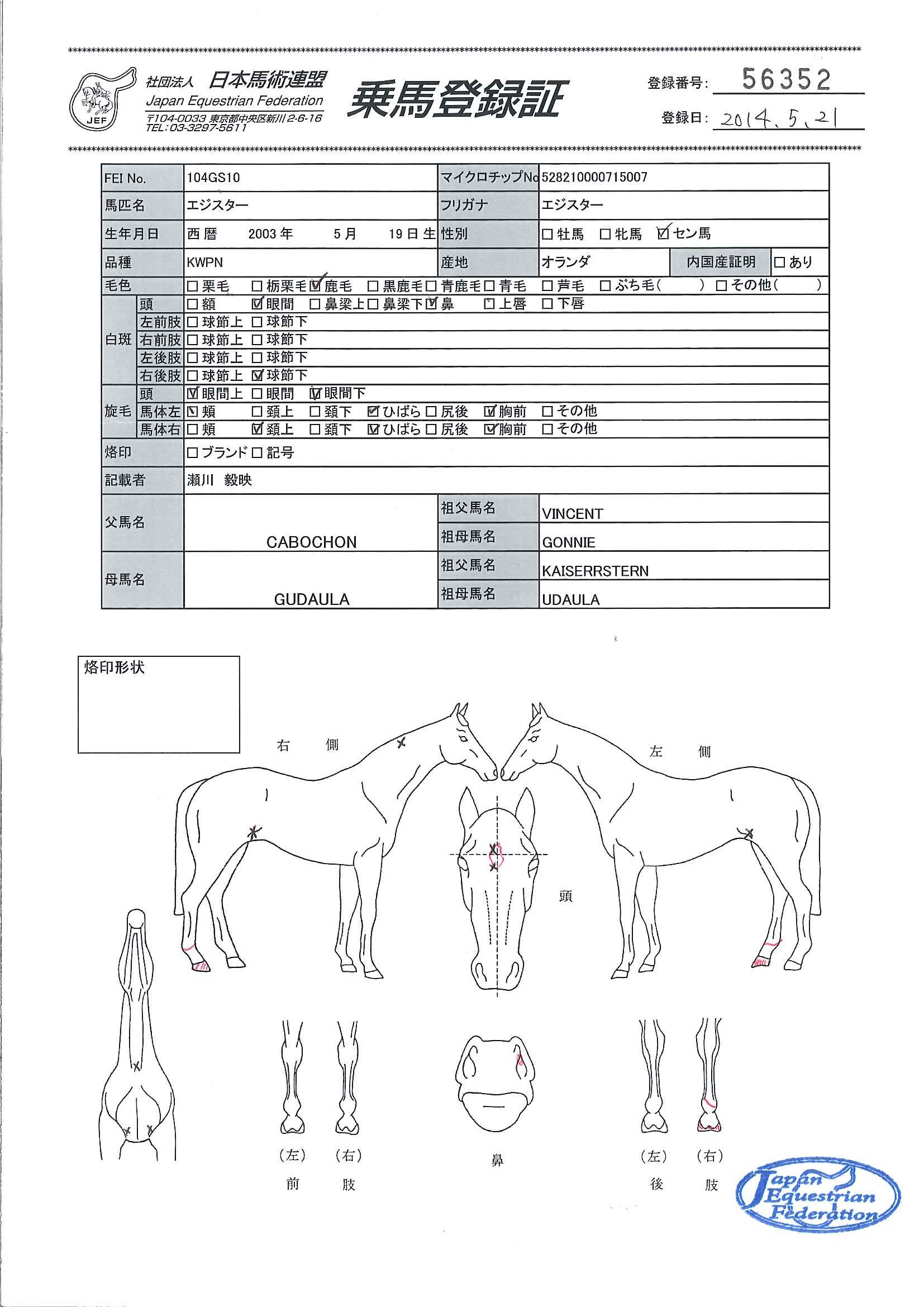 乗馬登録証