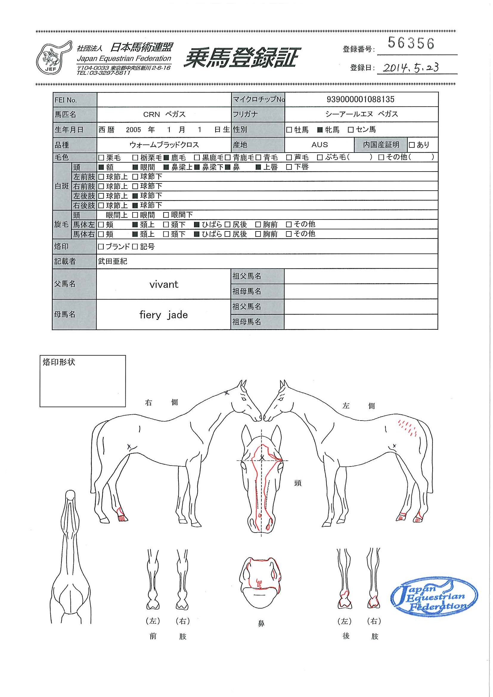 乗馬登録証