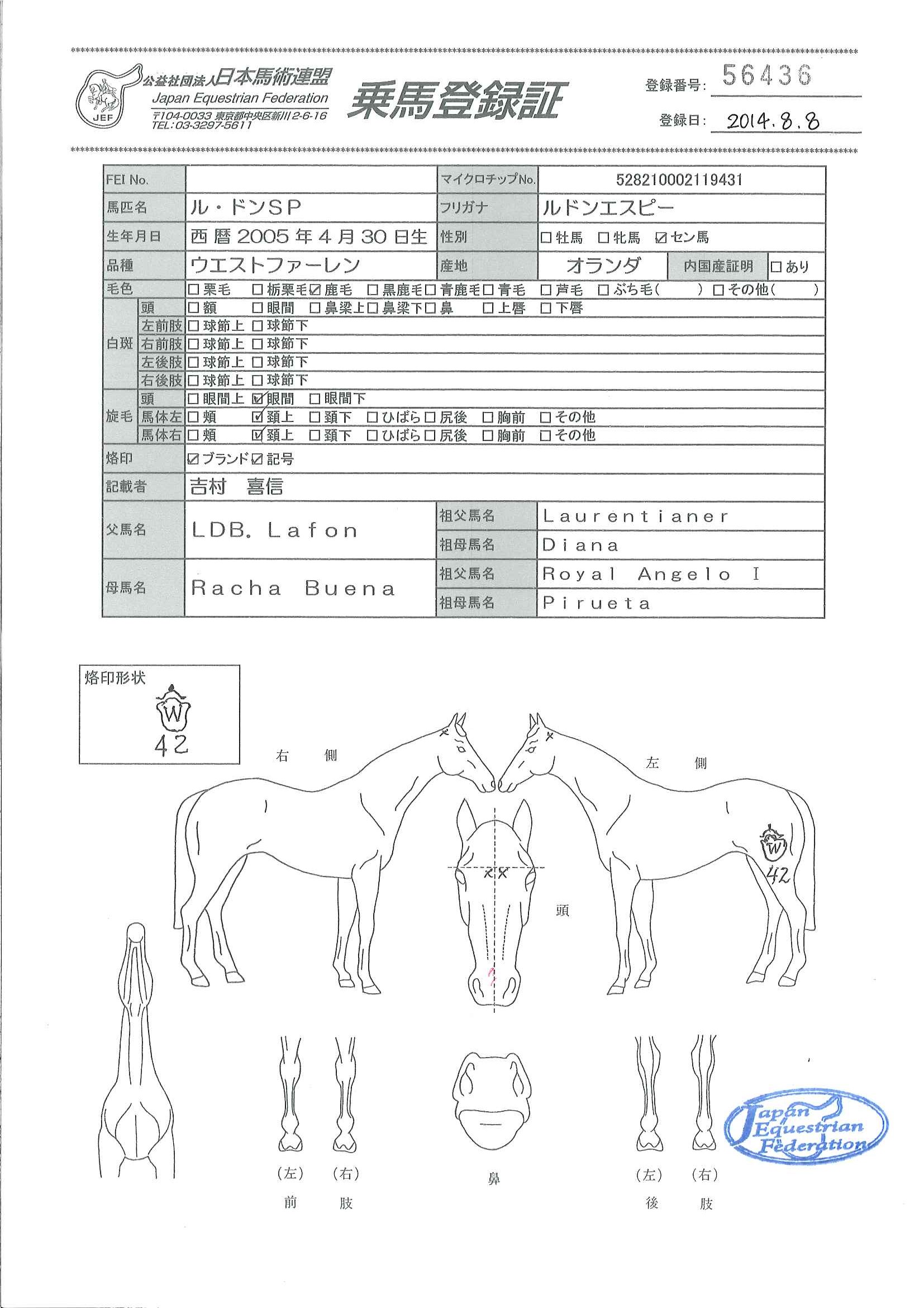 乗馬登録証