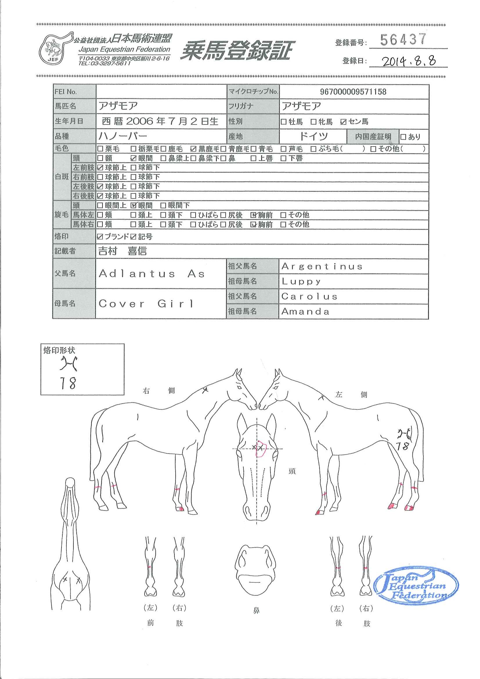 乗馬登録証