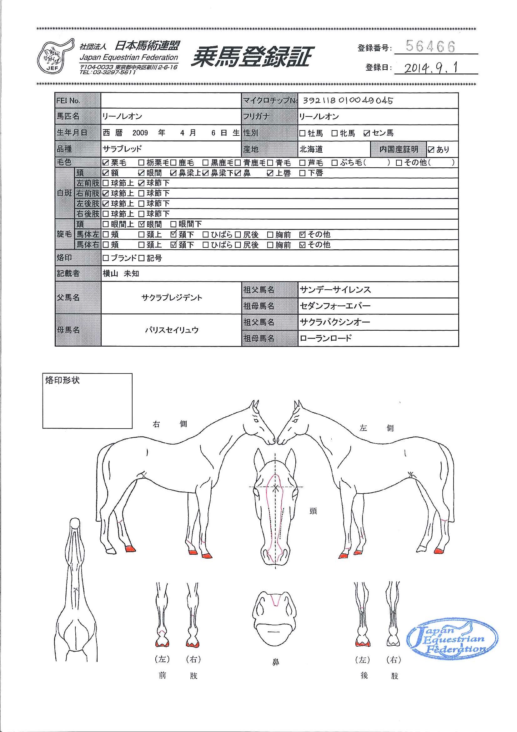乗馬登録証