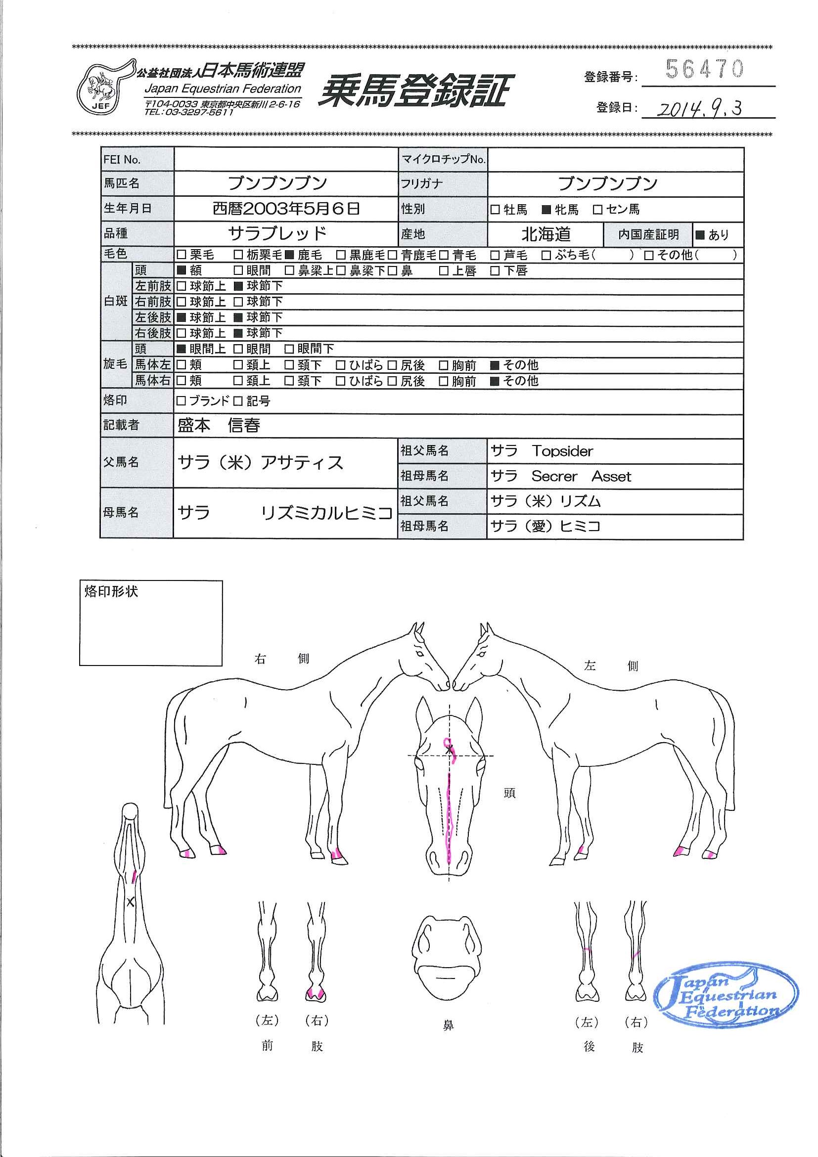 乗馬登録証