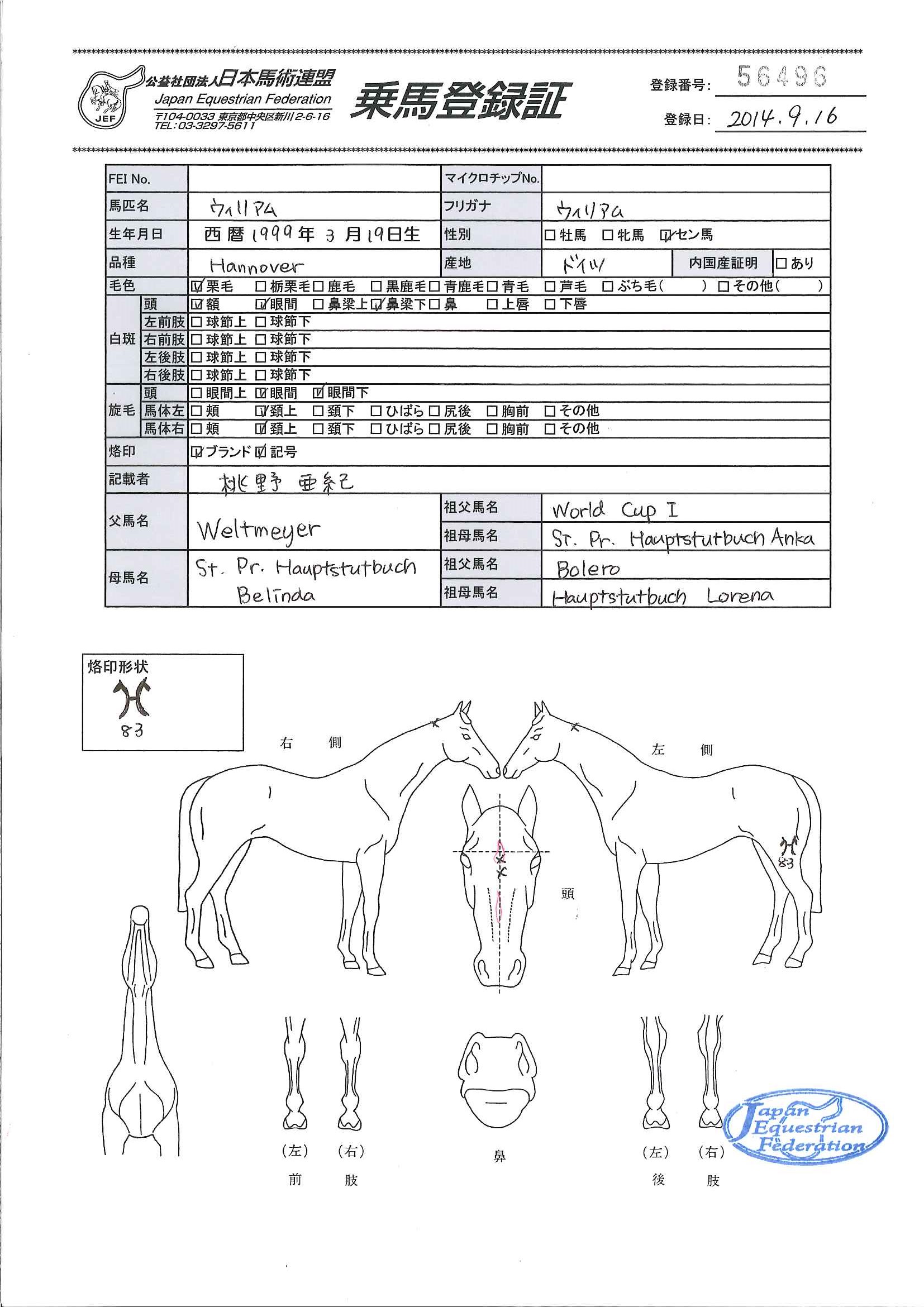 乗馬登録証