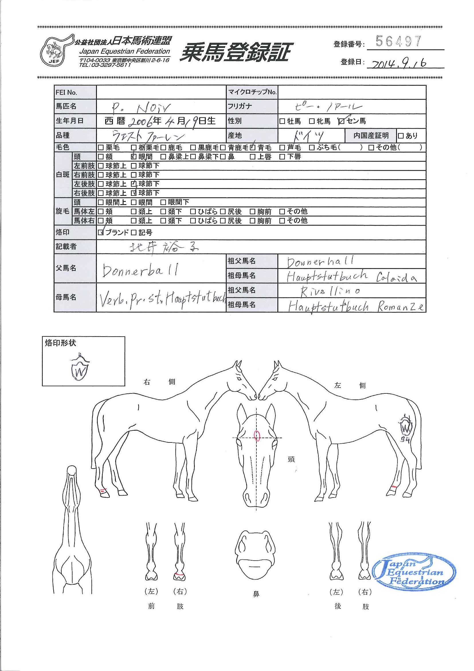 乗馬登録証