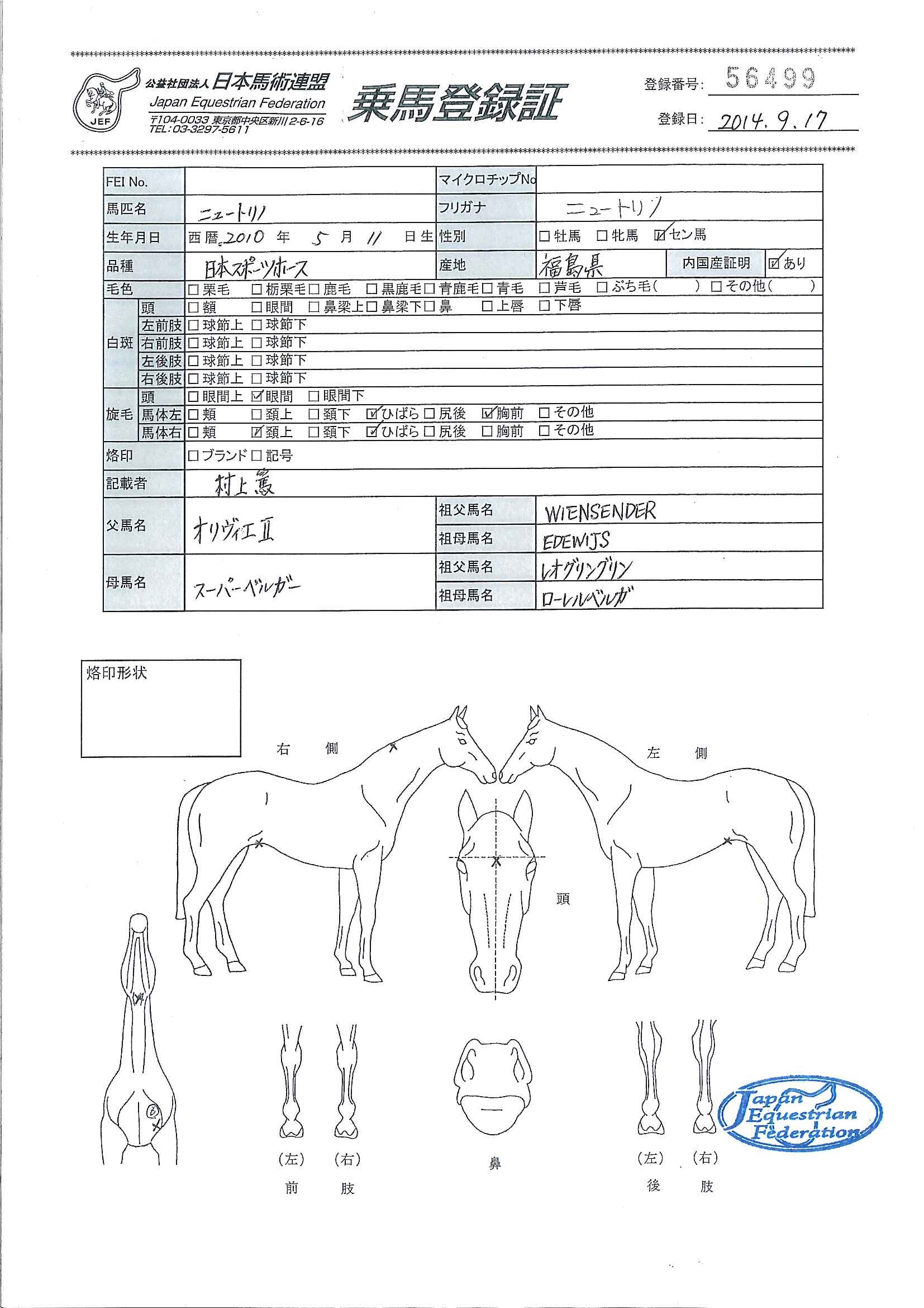 乗馬登録証