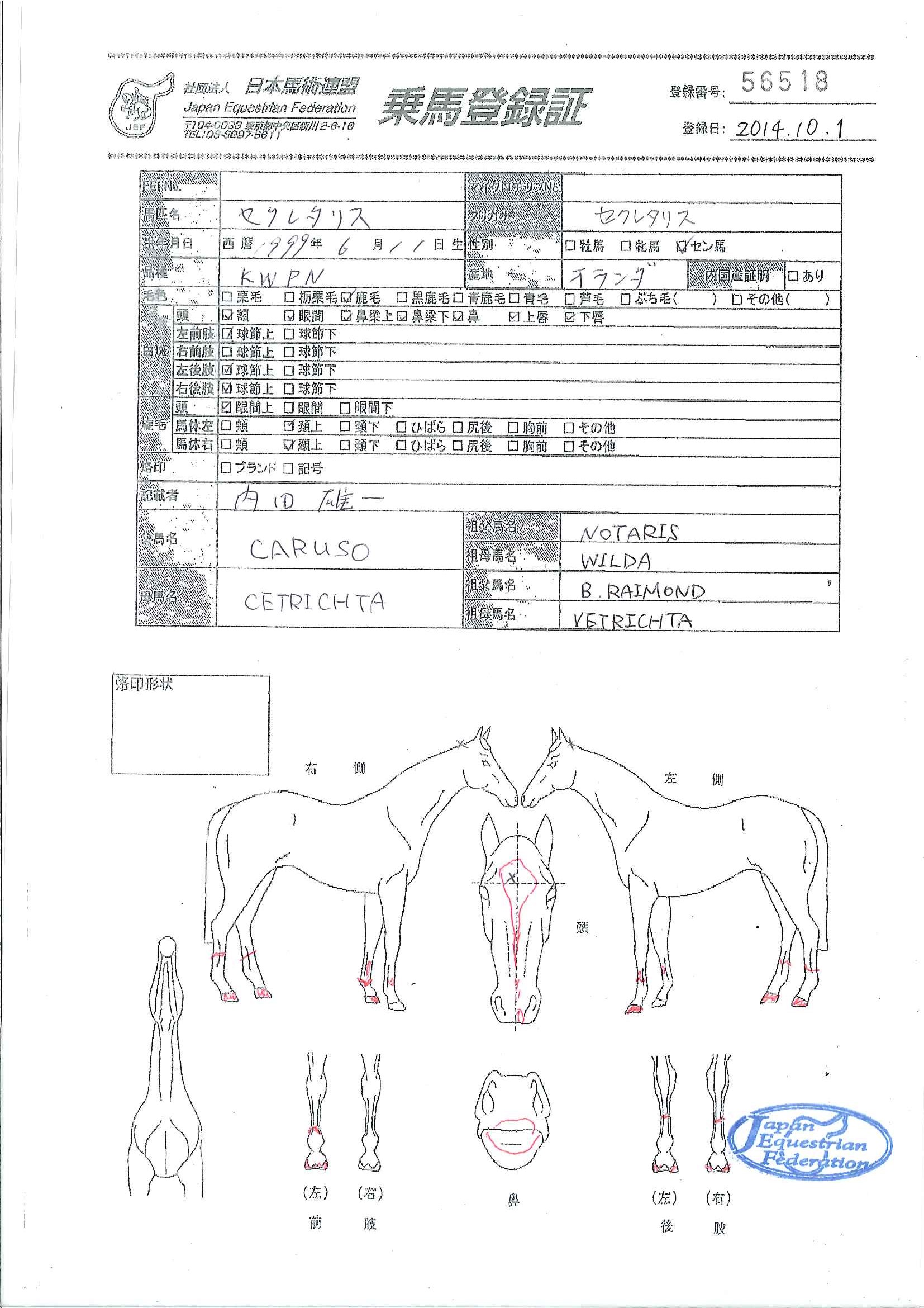 馬券の奥義50の法則 part 6 馬券の奥義50の法則 | 本島 修司 |本 | 通販 | Amazon
