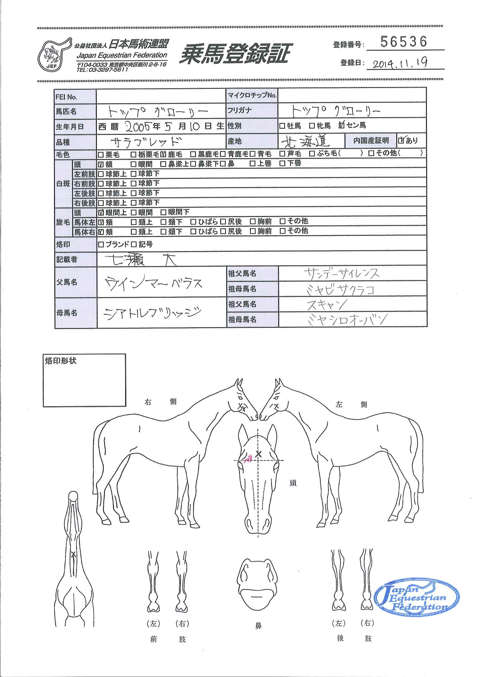 貴重「ボルト氏の馬術」 貴重「ボルト氏の馬術」 2025年最新】ボルト氏の馬術の人気