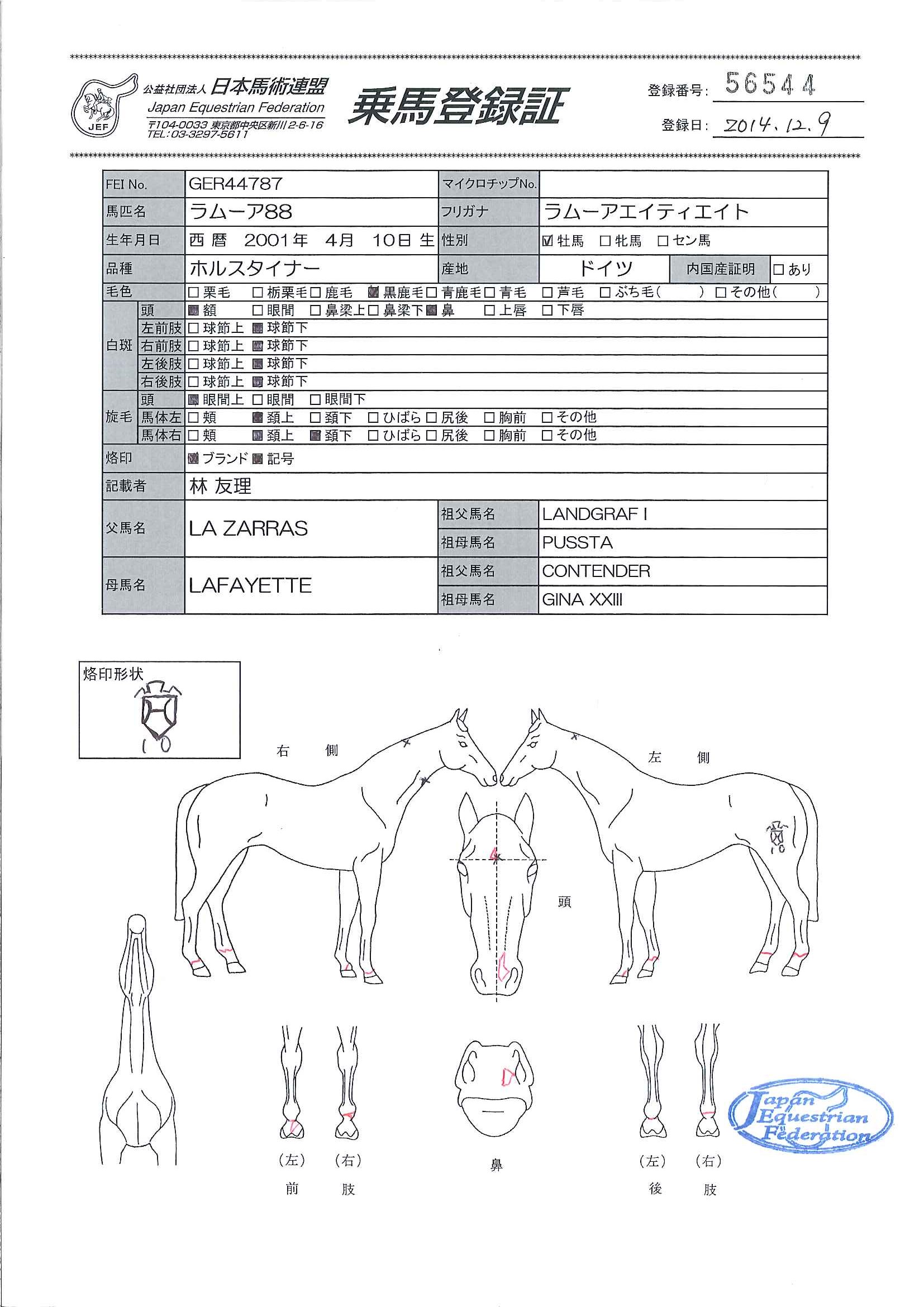 乗馬登録証