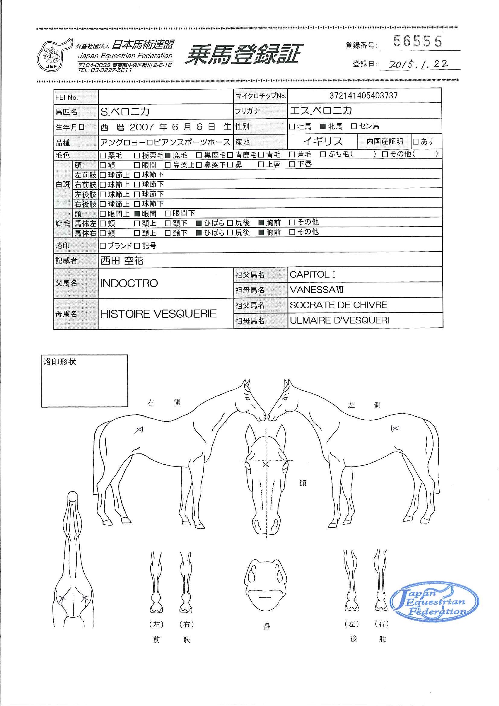 乗馬登録証