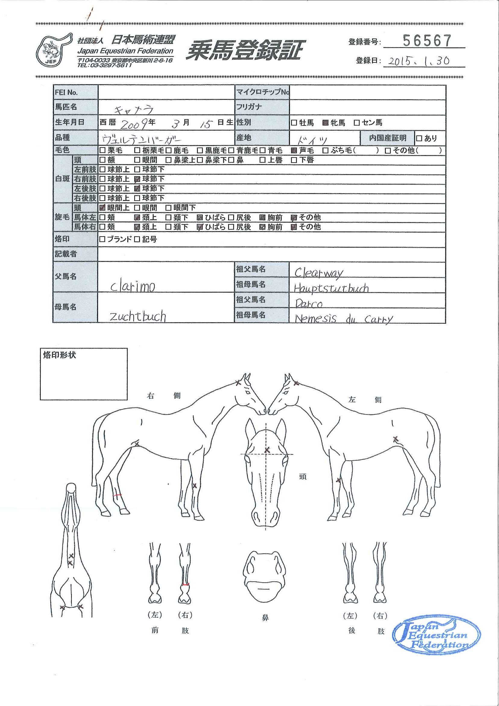 乗馬登録証