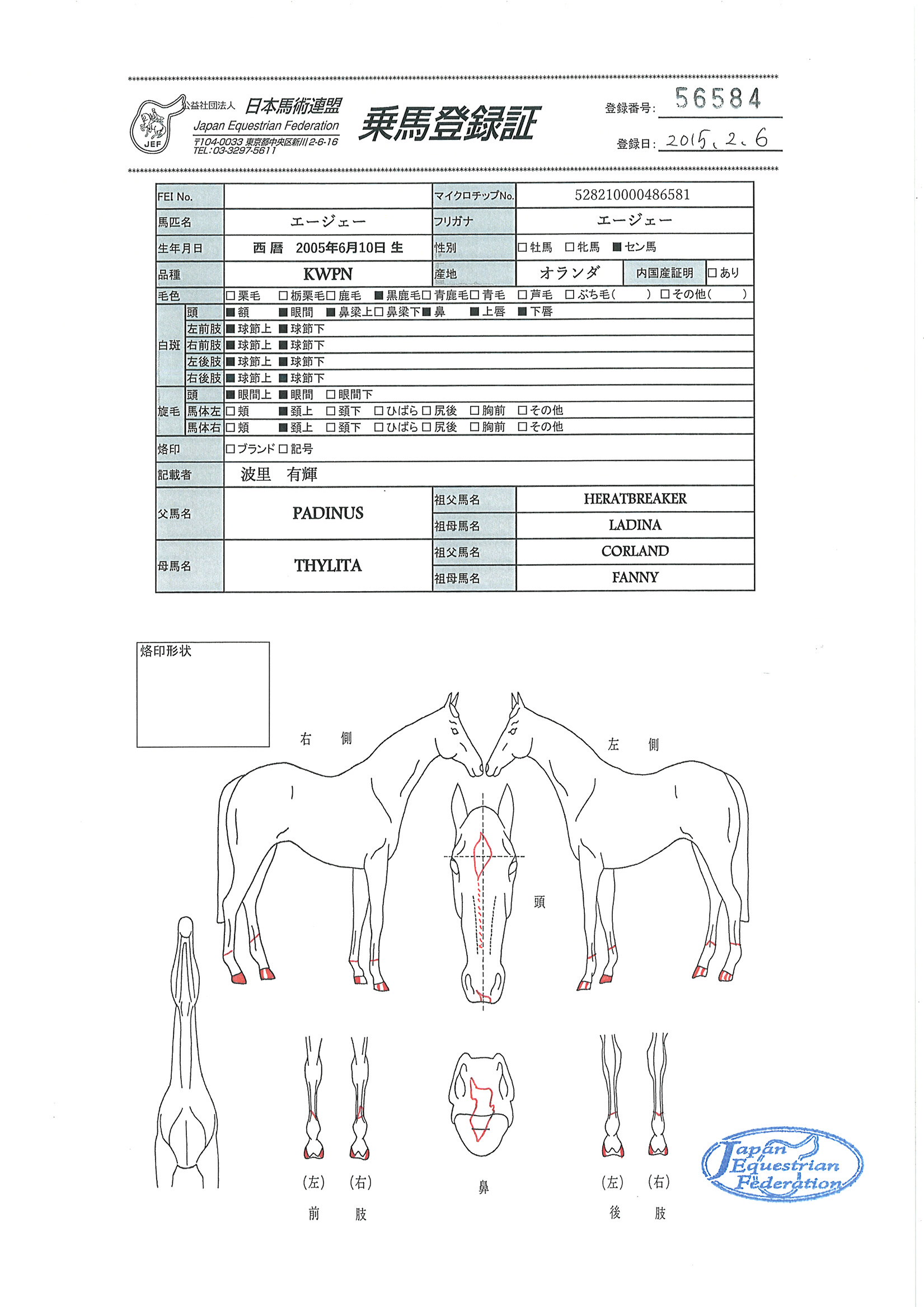 乗馬登録証