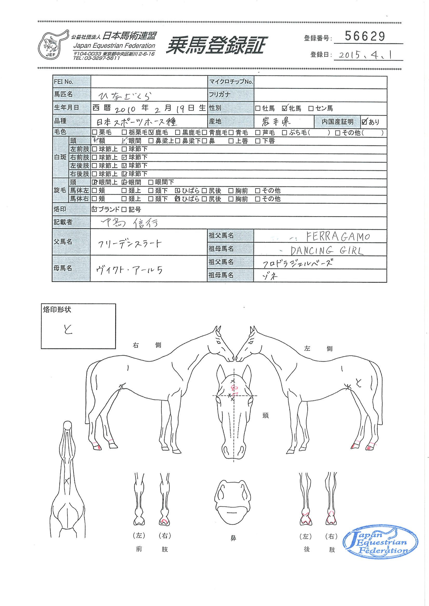 乗馬登録証