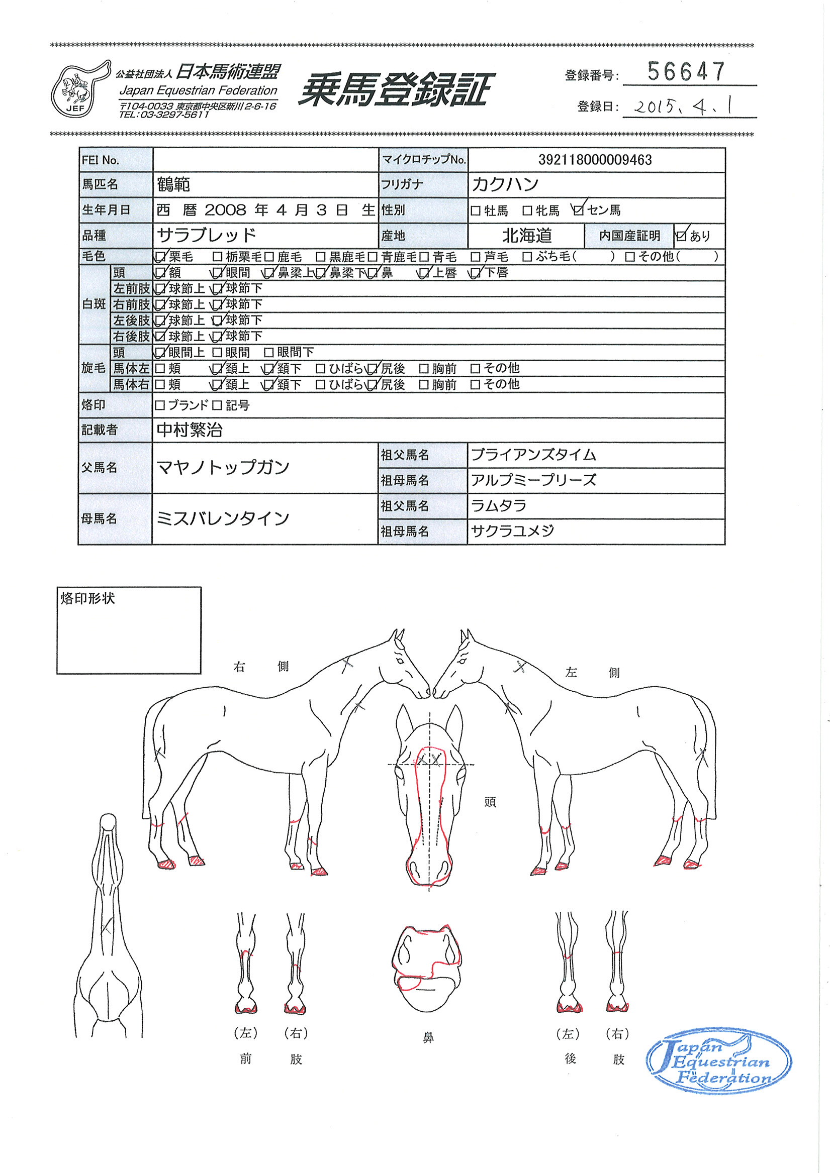 乗馬登録証