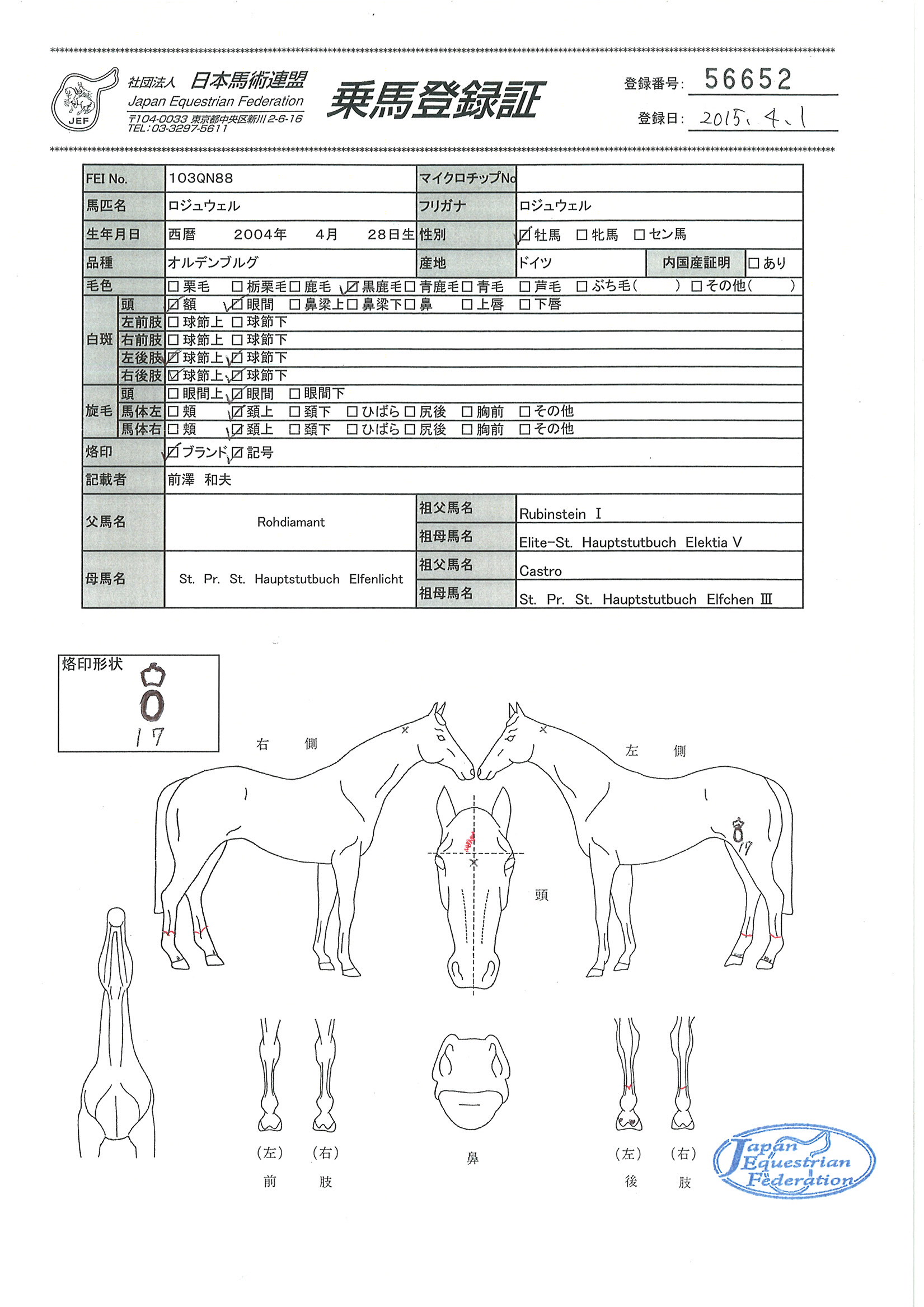 乗馬登録証