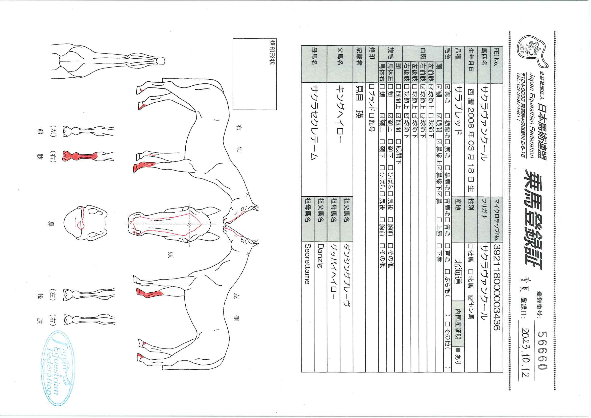 乗馬登録証