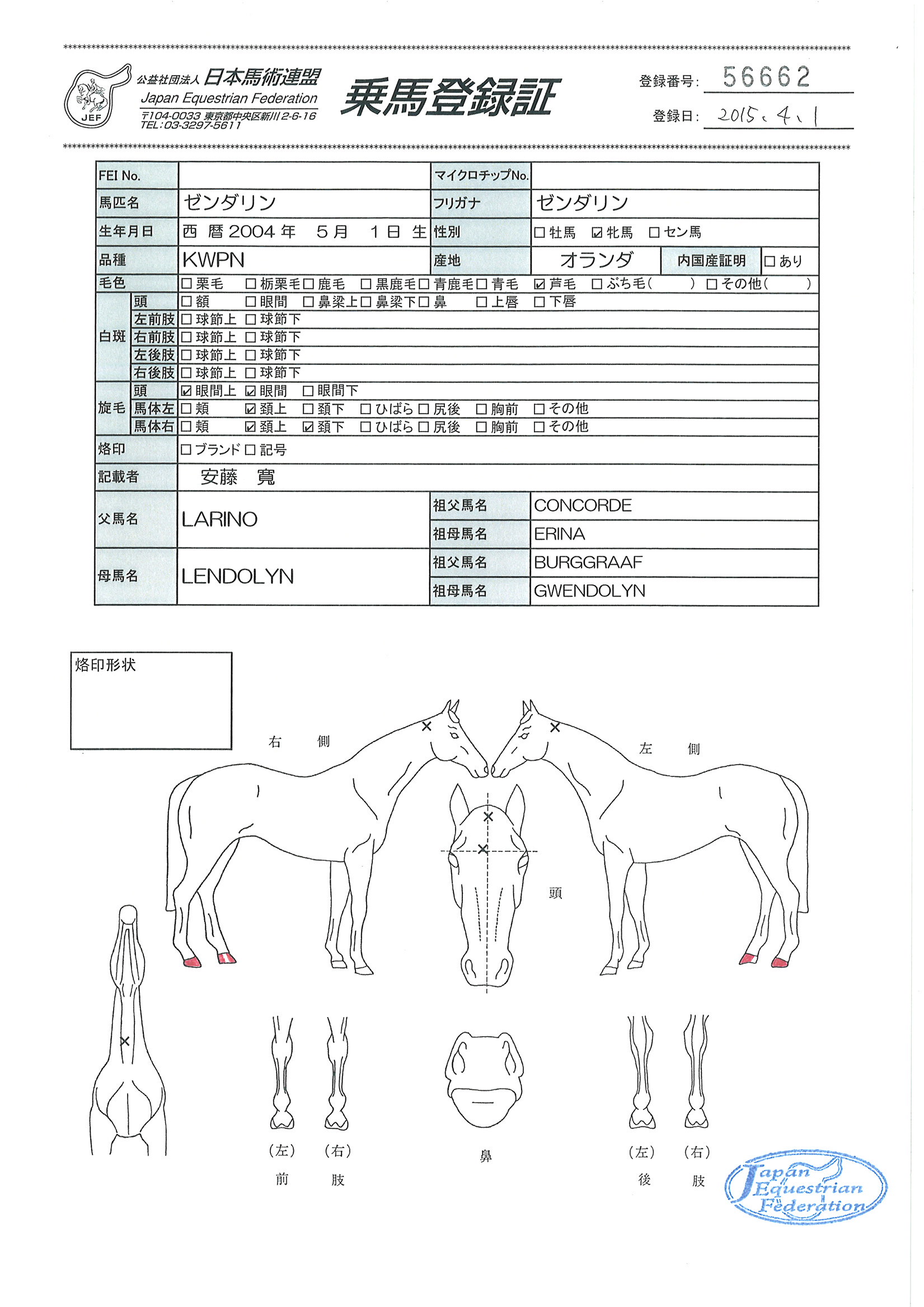 乗馬登録証