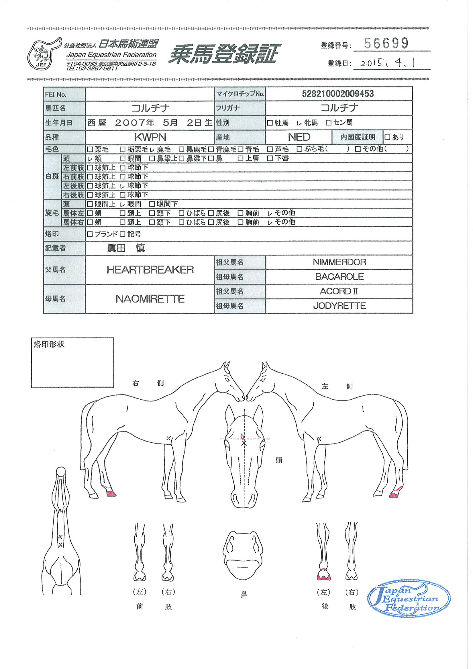 乗馬登録証