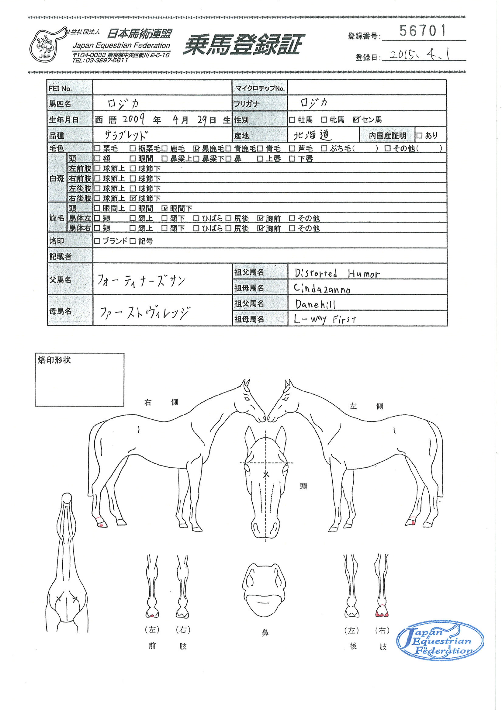乗馬登録証
