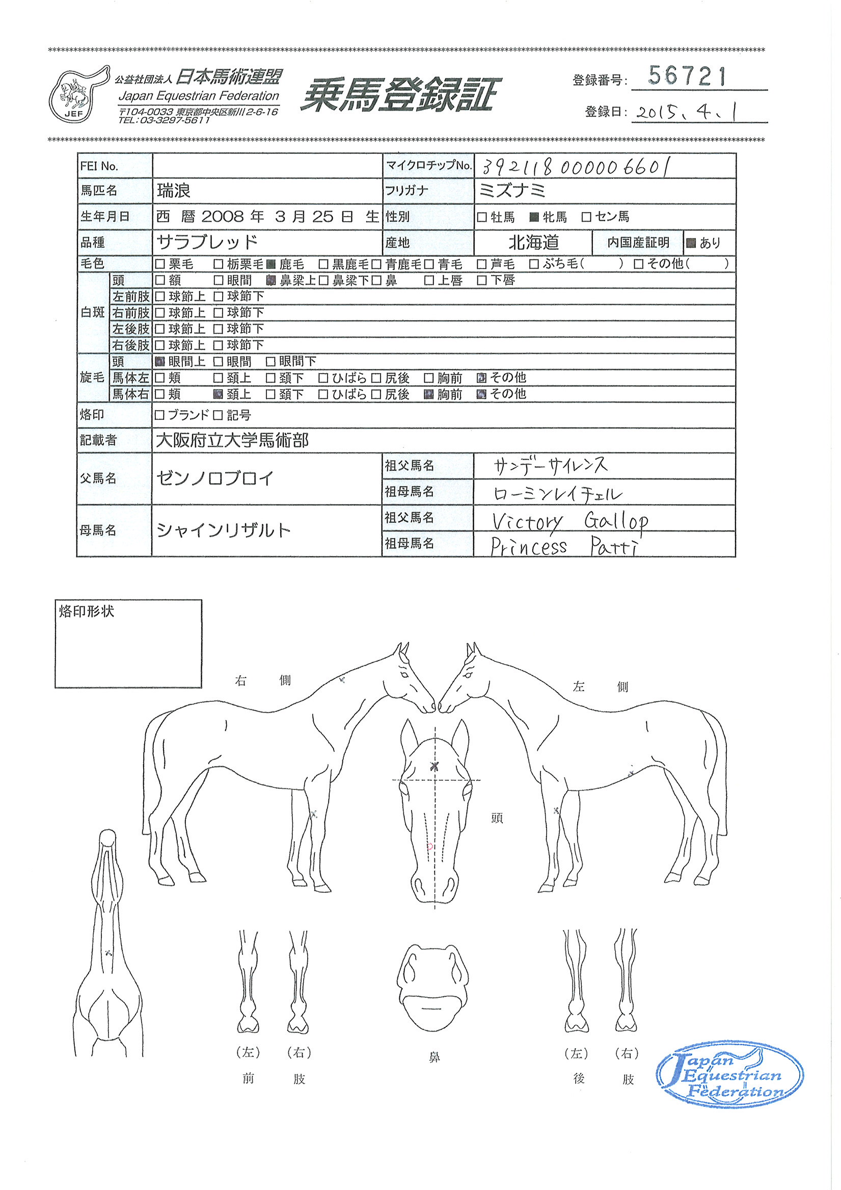 乗馬登録証