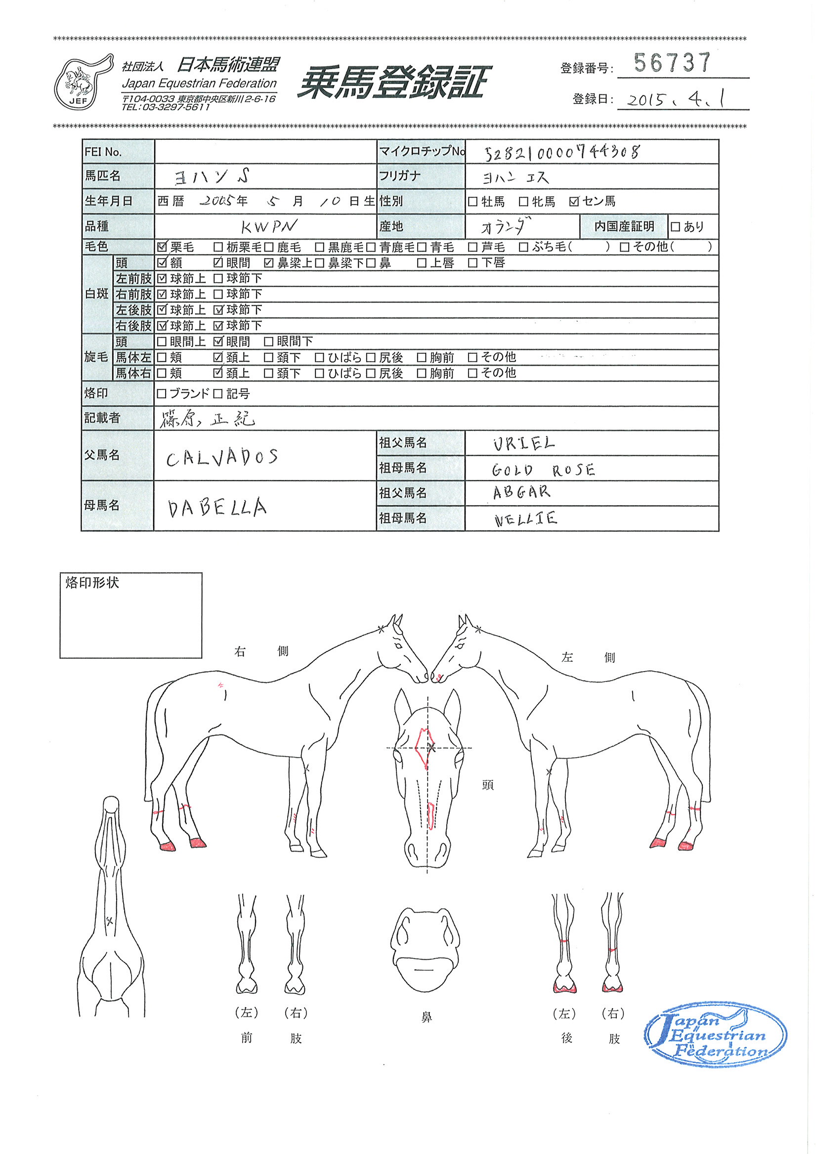 乗馬登録証