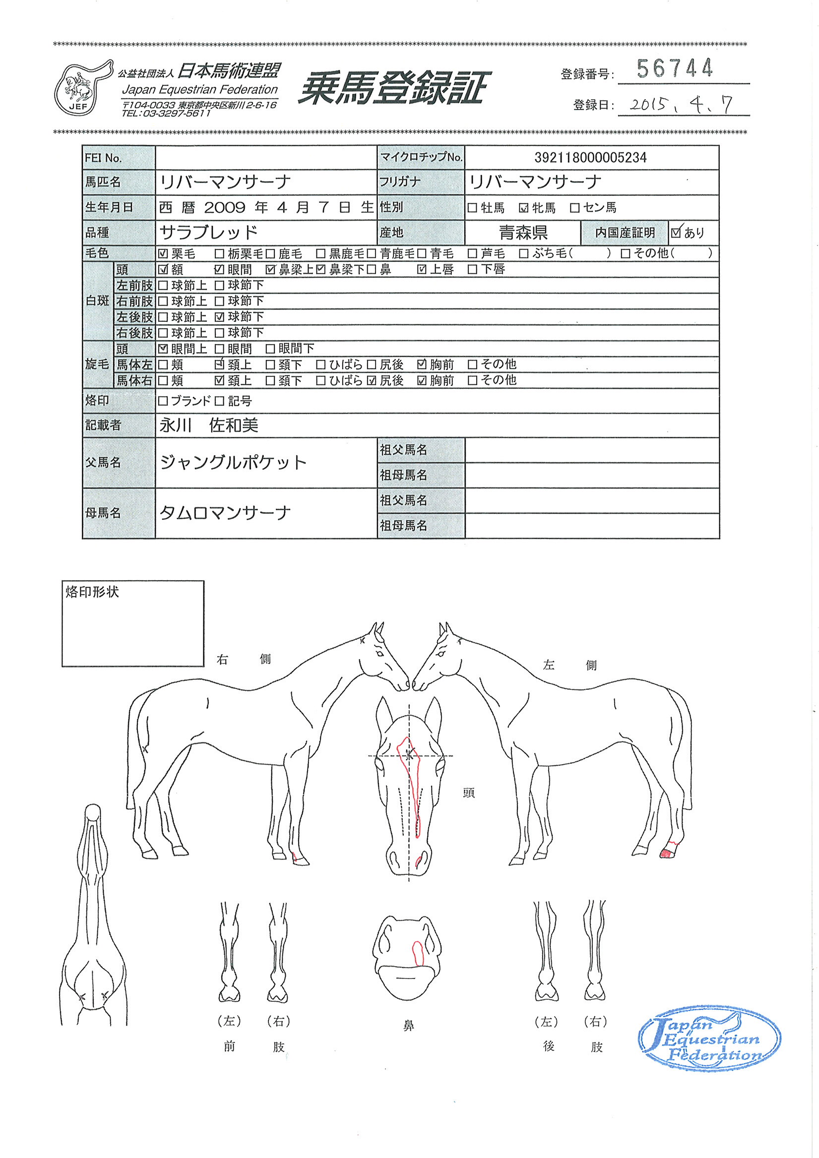 乗馬登録証
