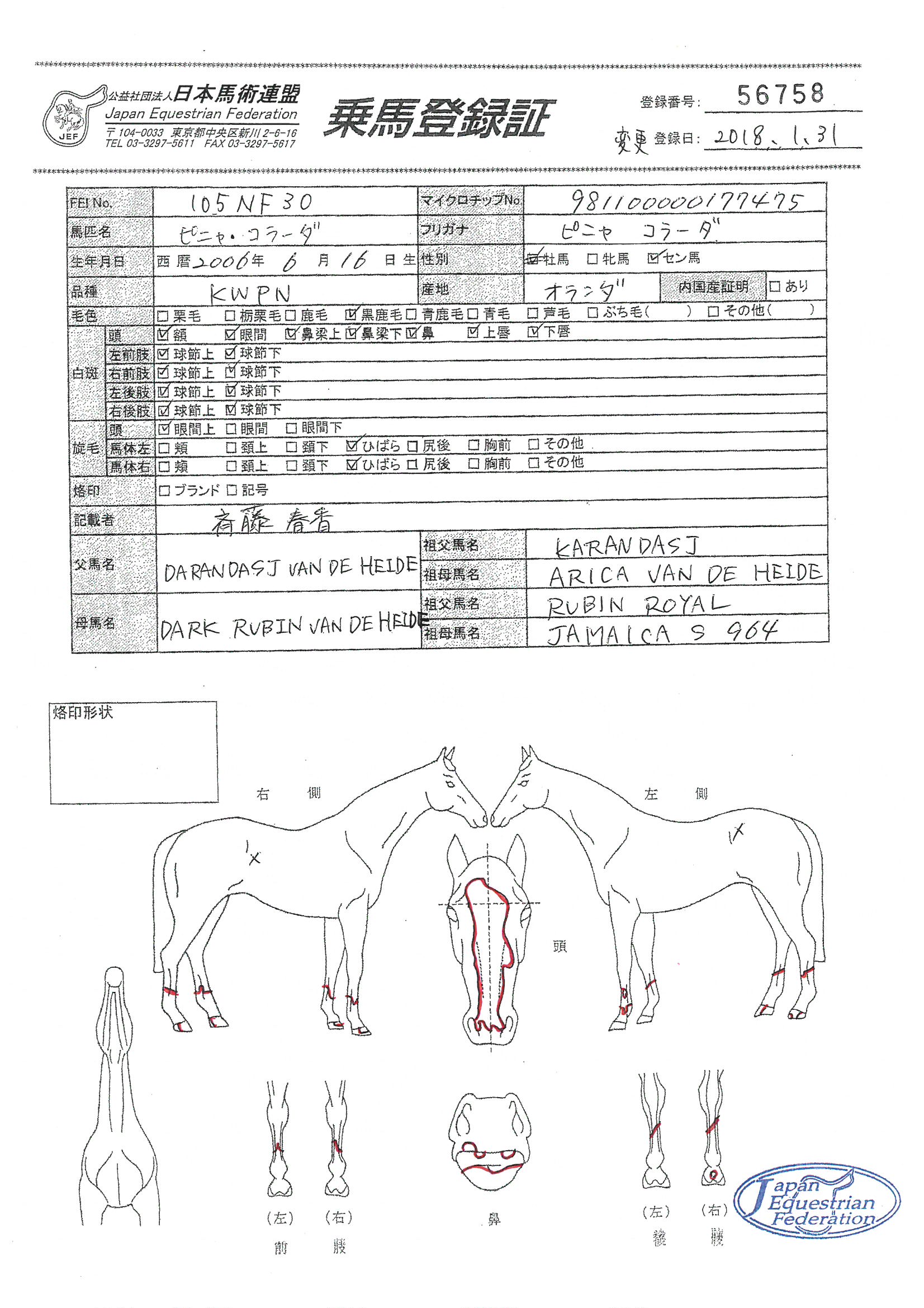 公益社団法人 日本馬術連盟 《Japan Equestrian Federation