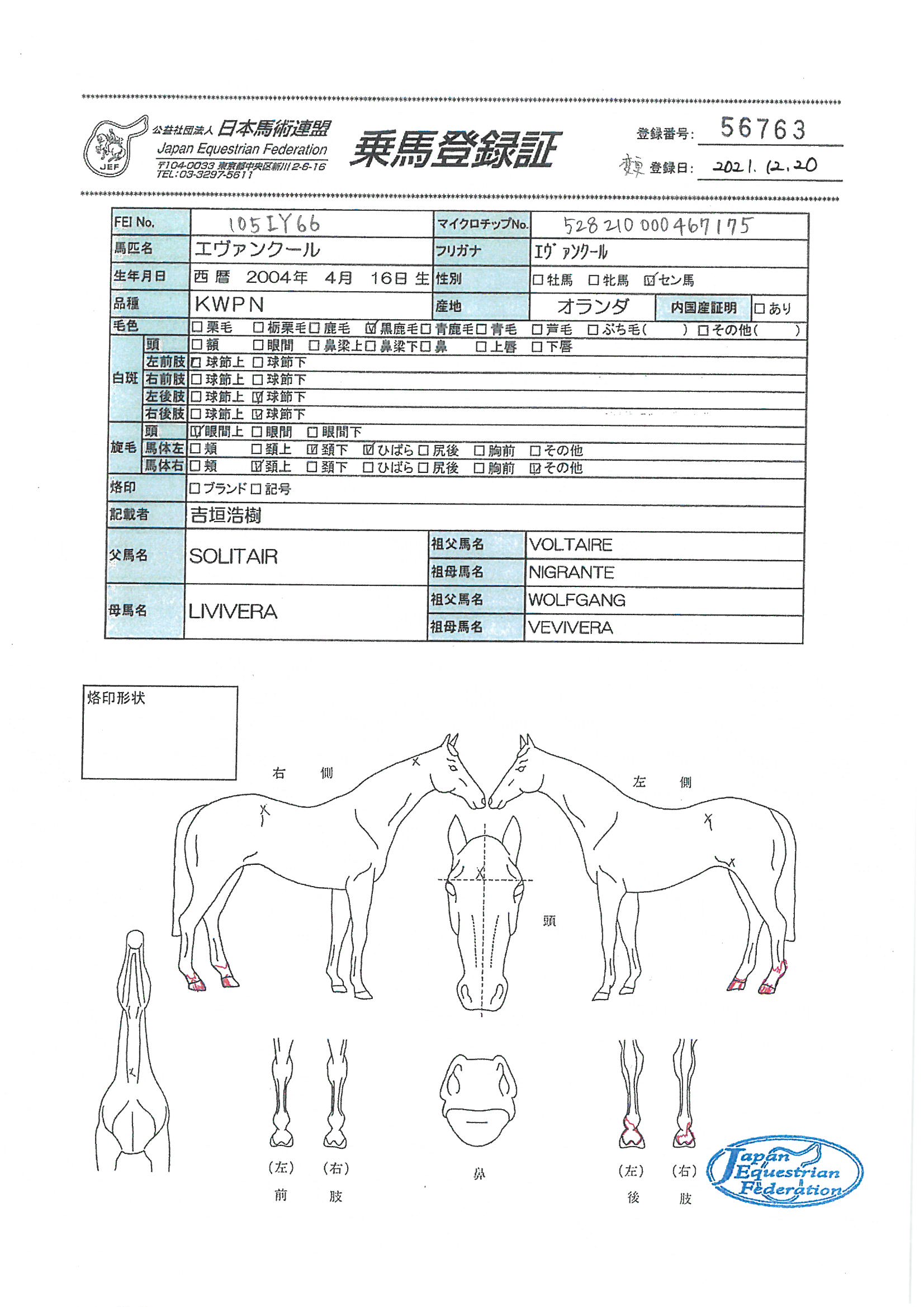 乗馬登録証