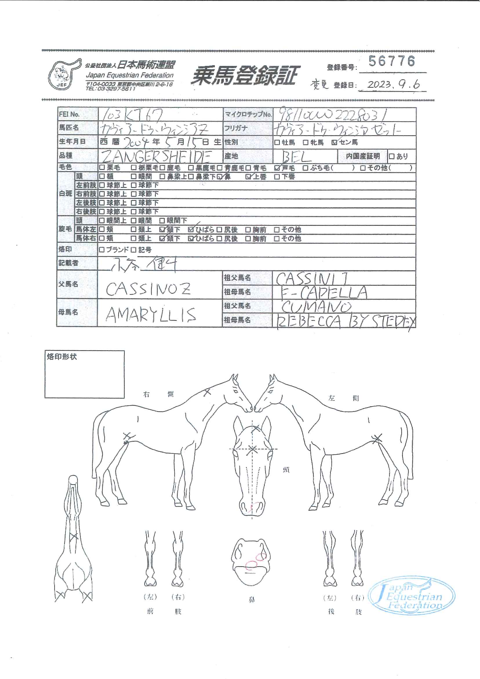馬券色々！ 馬券の種類]｜shovel鉄馬