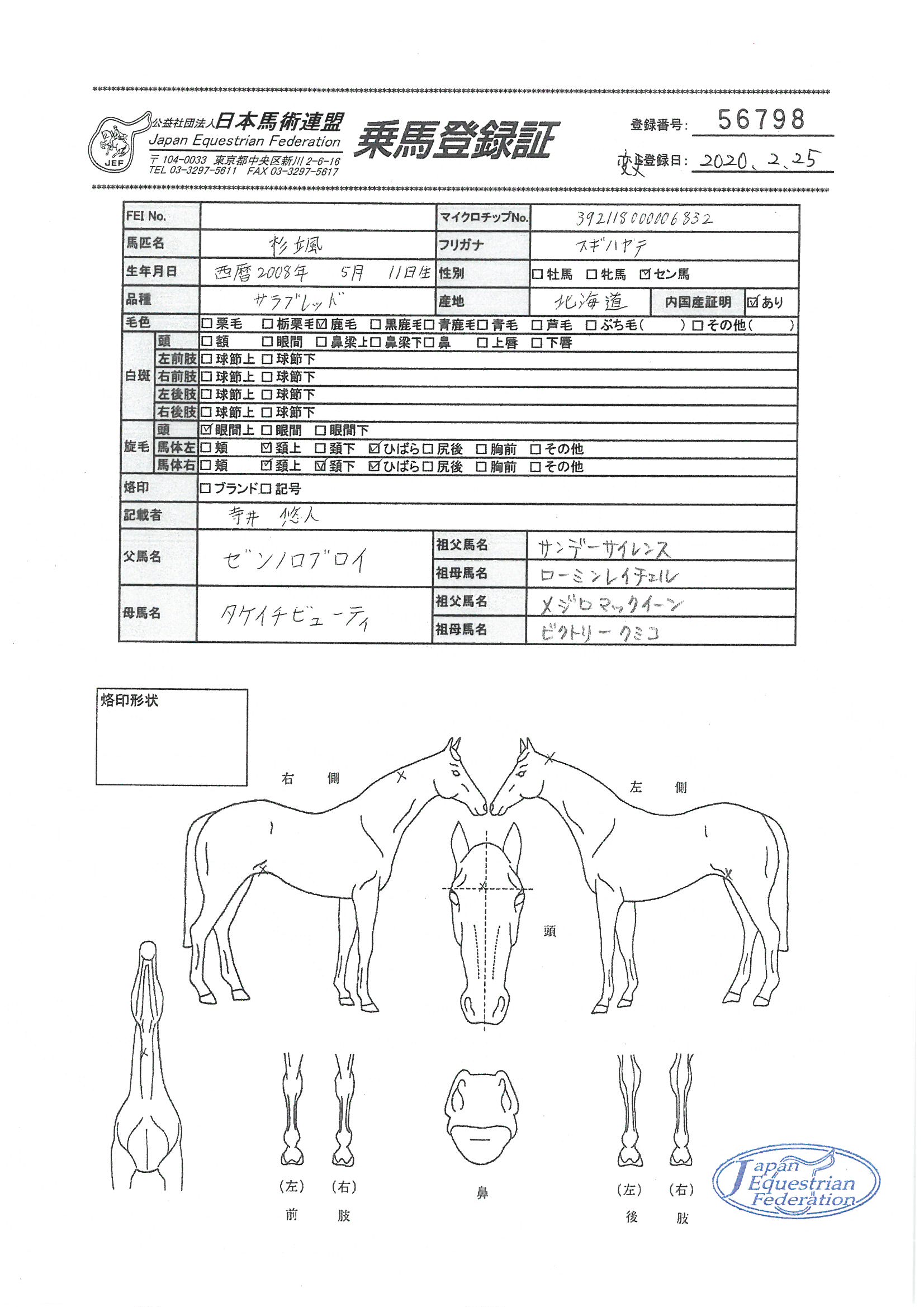 公益社団法人 日本馬術連盟 Japan Equestrian Federation 日本馬術連盟 日馬連 馬術連盟 公益社団法人 日本馬術連盟 公益社団法人 日本馬術連盟 Japan Equestrian Federation 日本馬術連盟 日馬連 馬術連盟 公益社団法人 日本馬術連盟